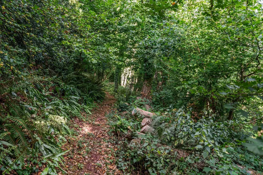 Property Image 52