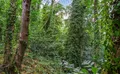 Property image gallery