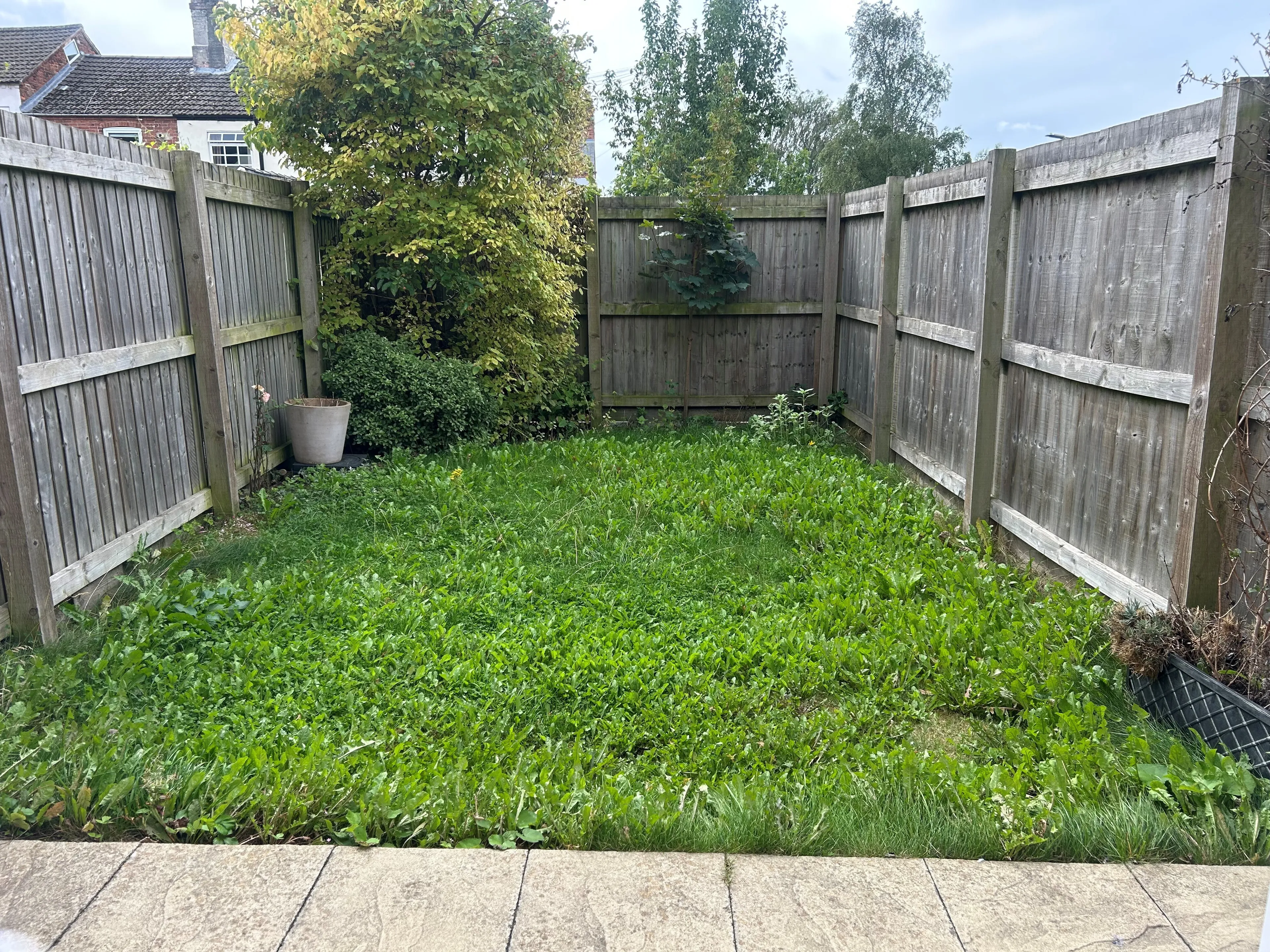 Property photo 12