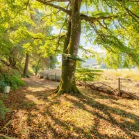 Property 5