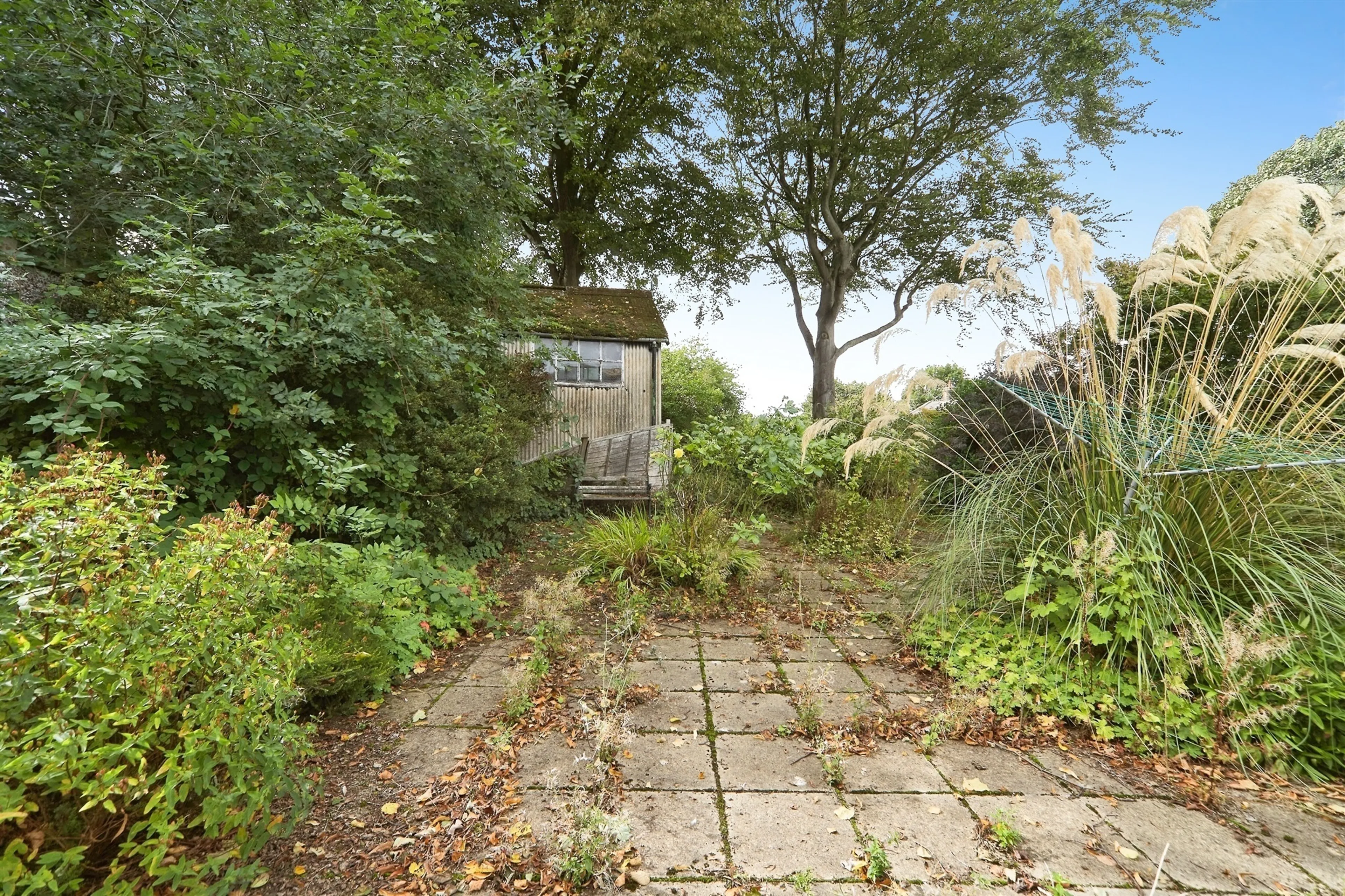 Property photo 14
