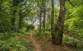 Property image gallery