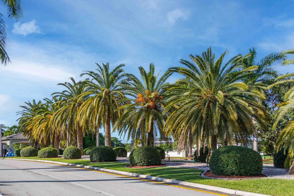 1604 Abaco Dr, Coconut Creek, FL 33066