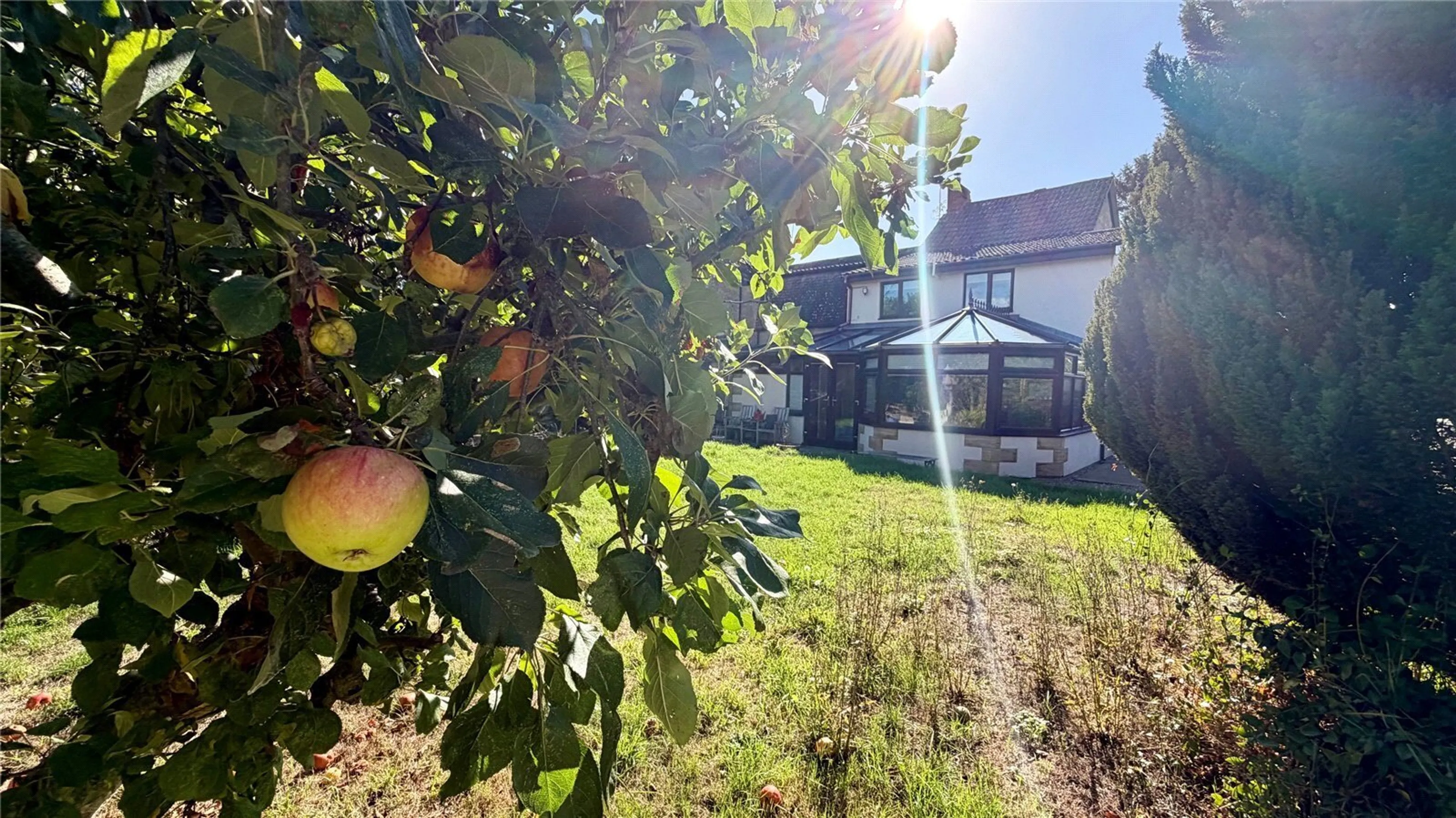 Property photo 13