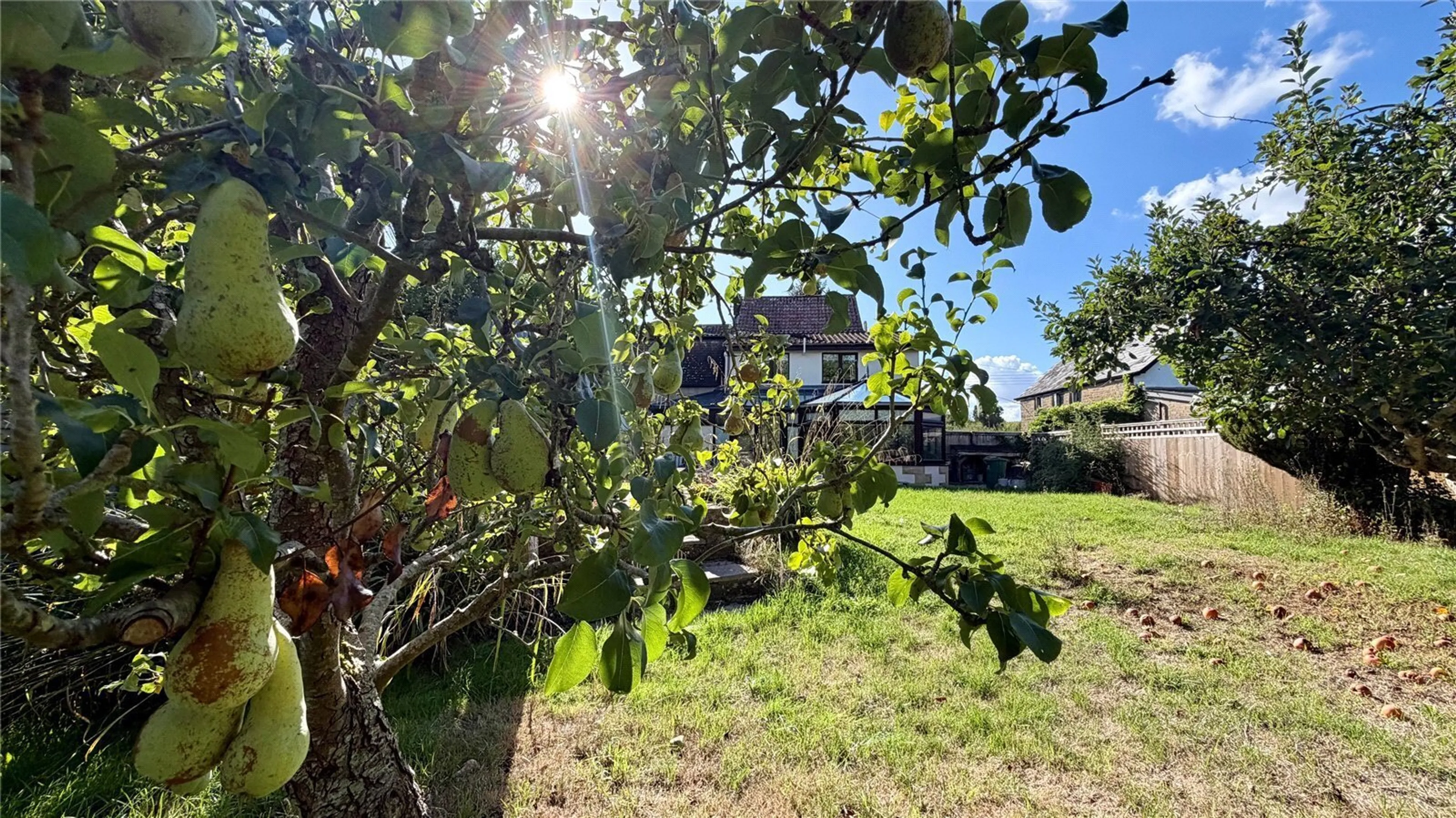 Property photo 14