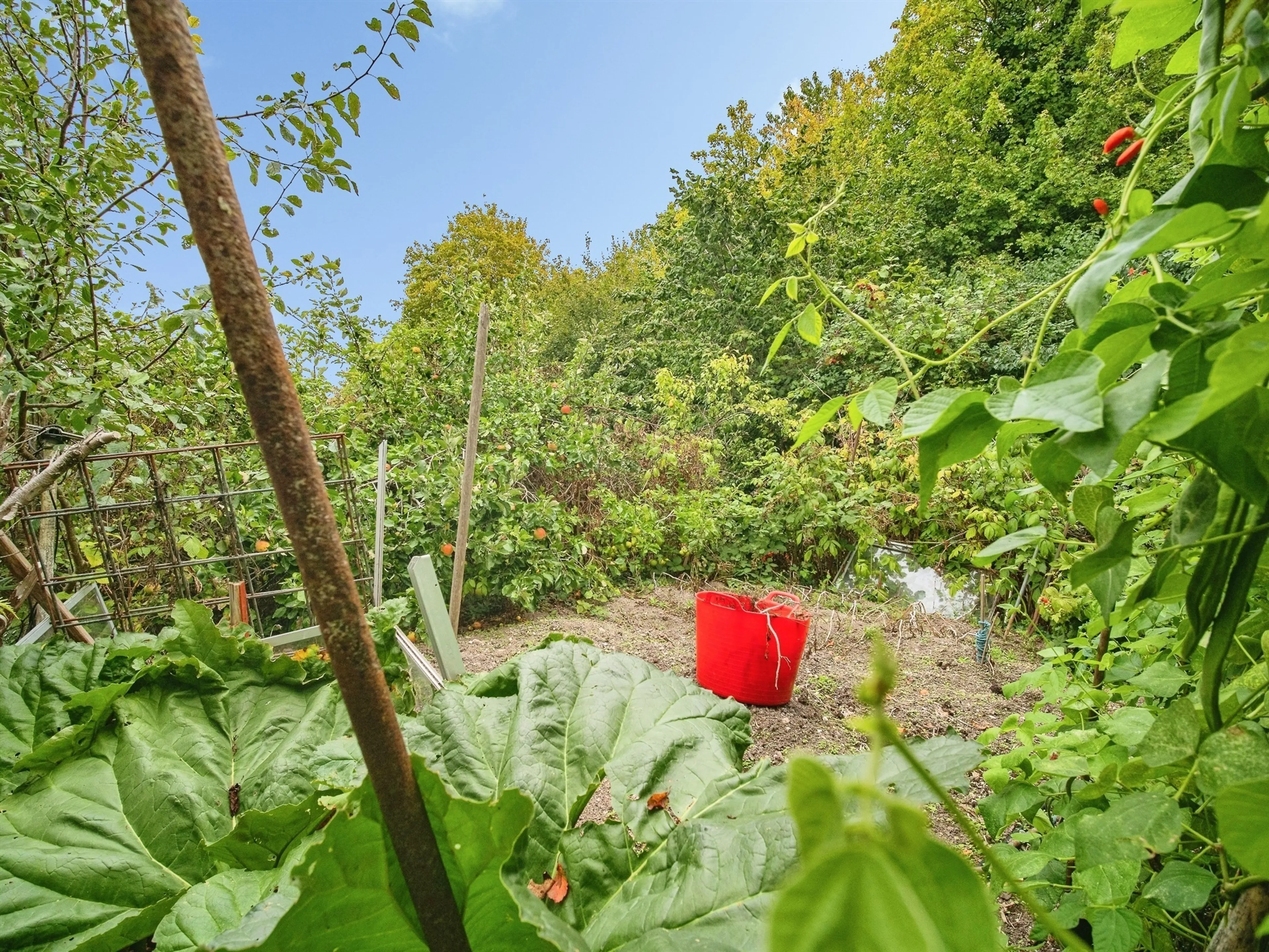 Property photo 16