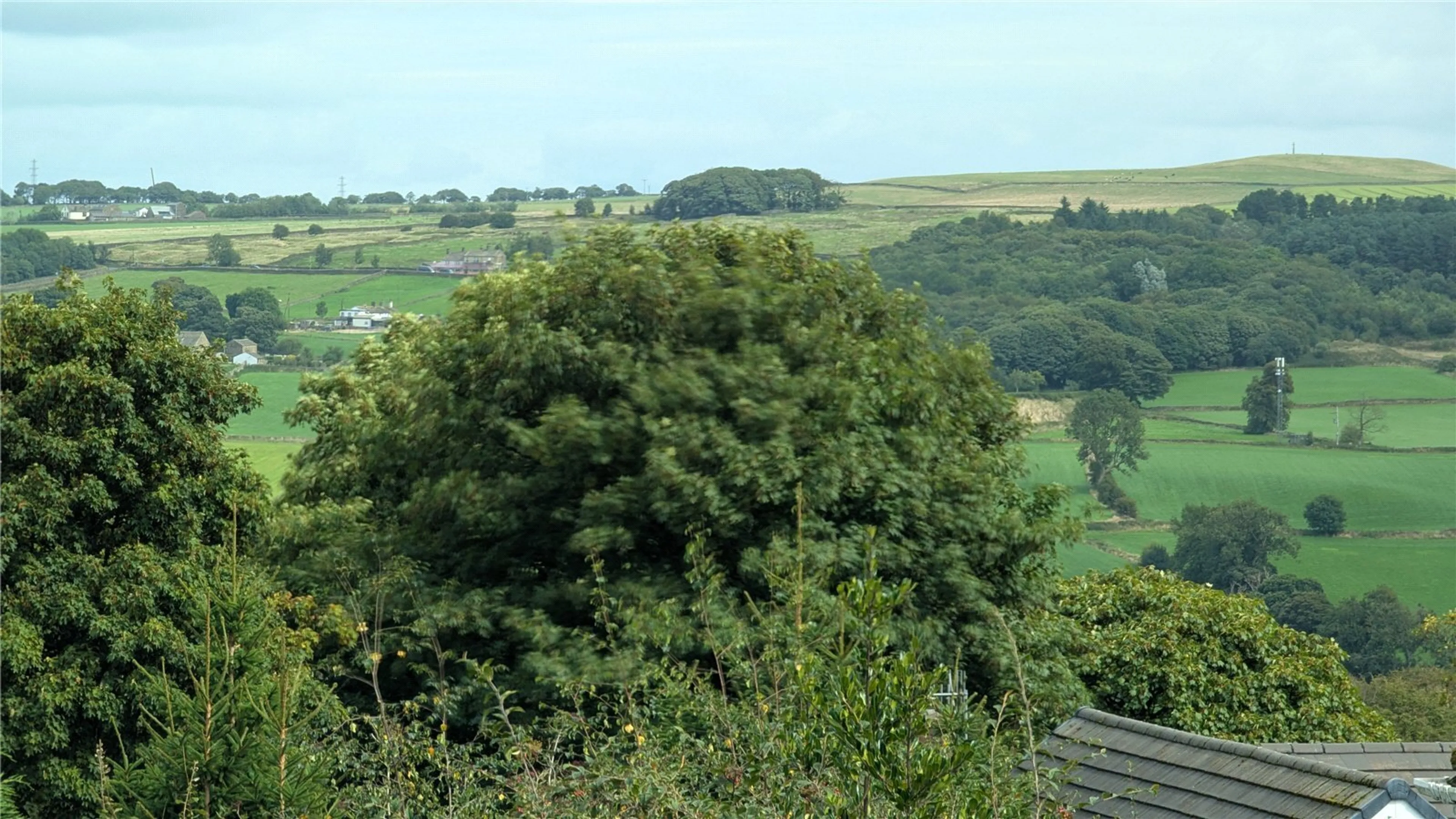 Property photo 37