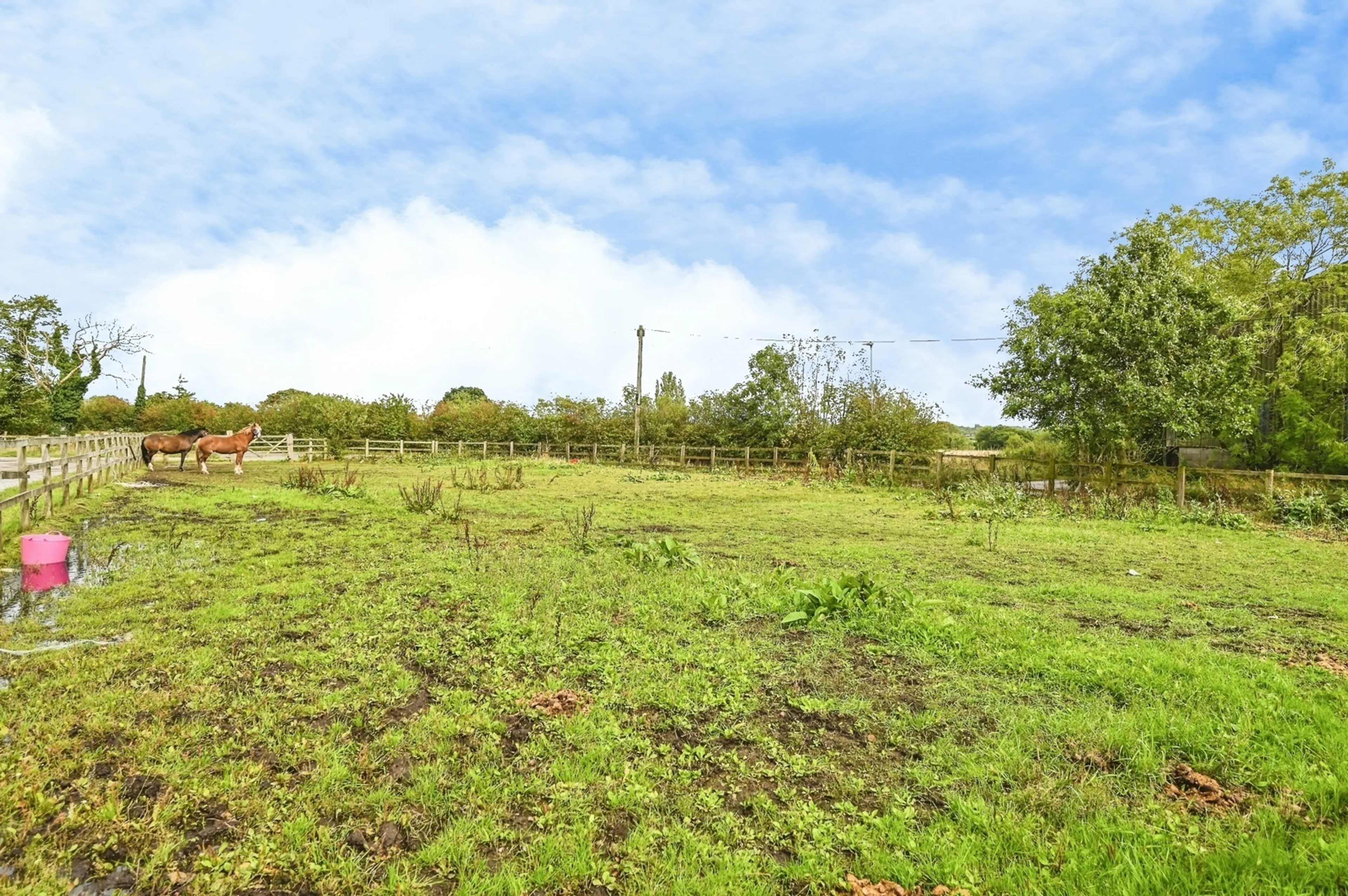 Property photo 23