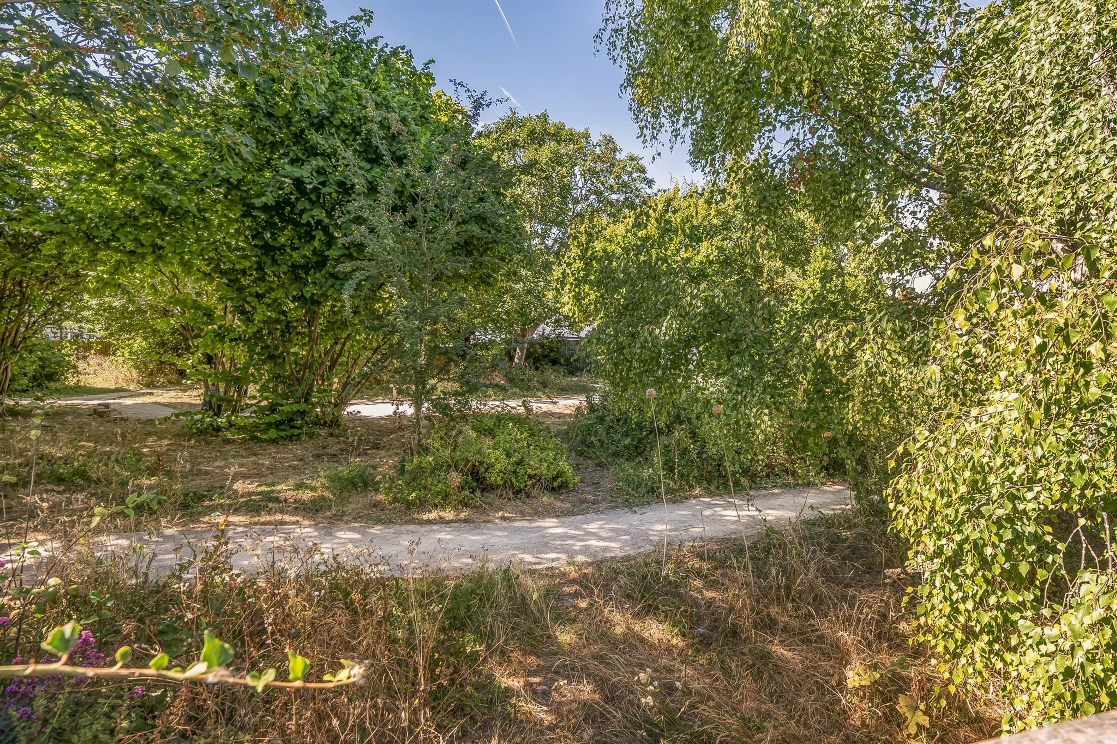 Property photo 19