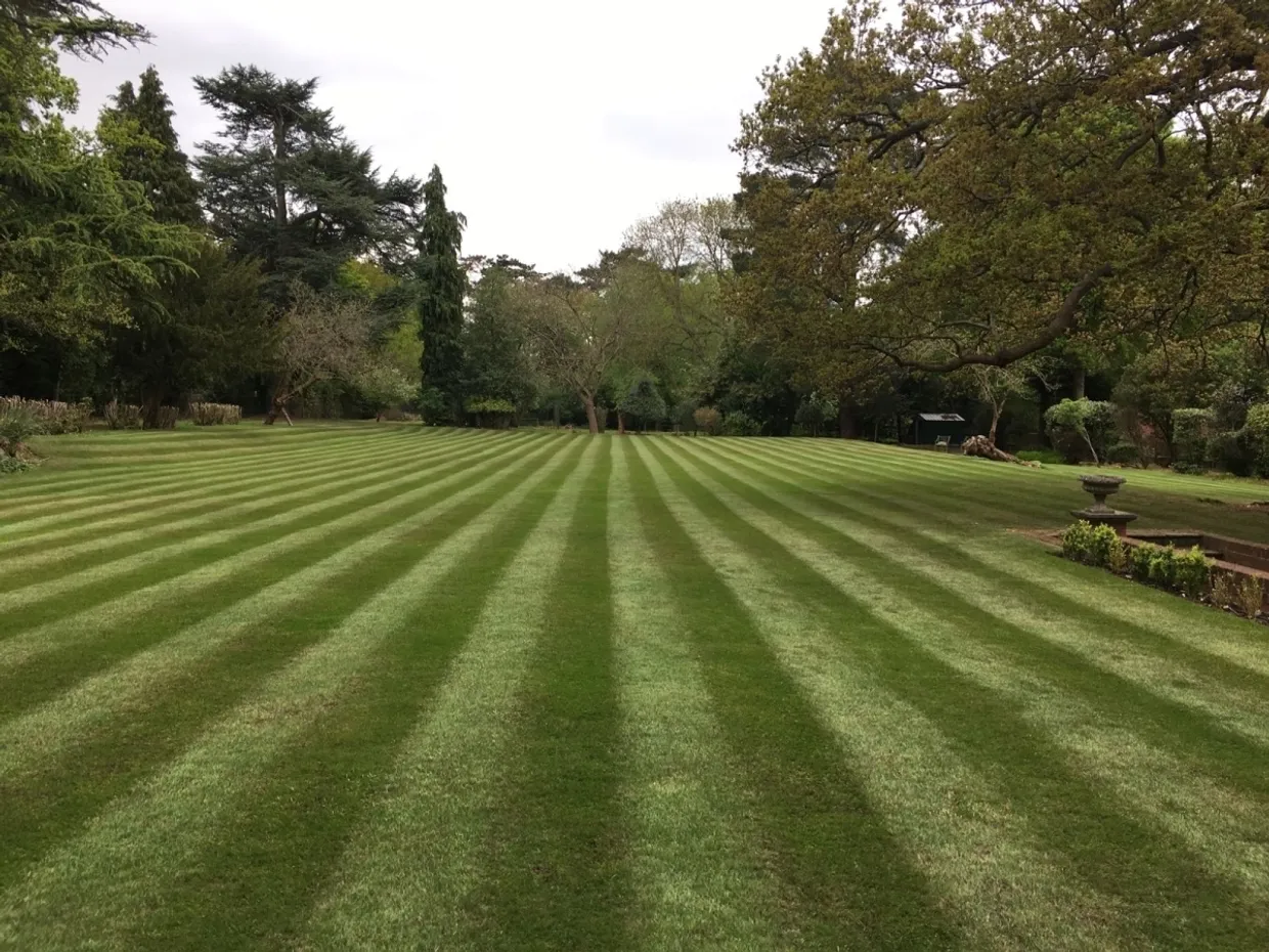 Hollybush Hill Stoke Poges SL2 photo 19