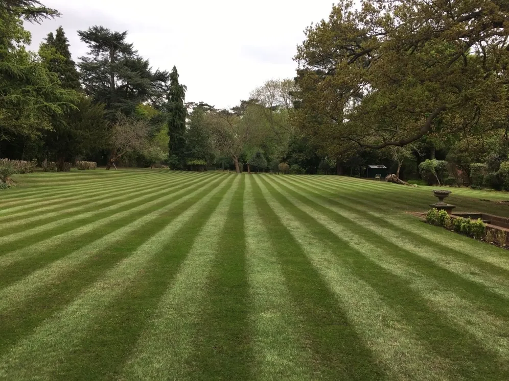 Hollybush Hill Stoke Poges SL2 photo 19