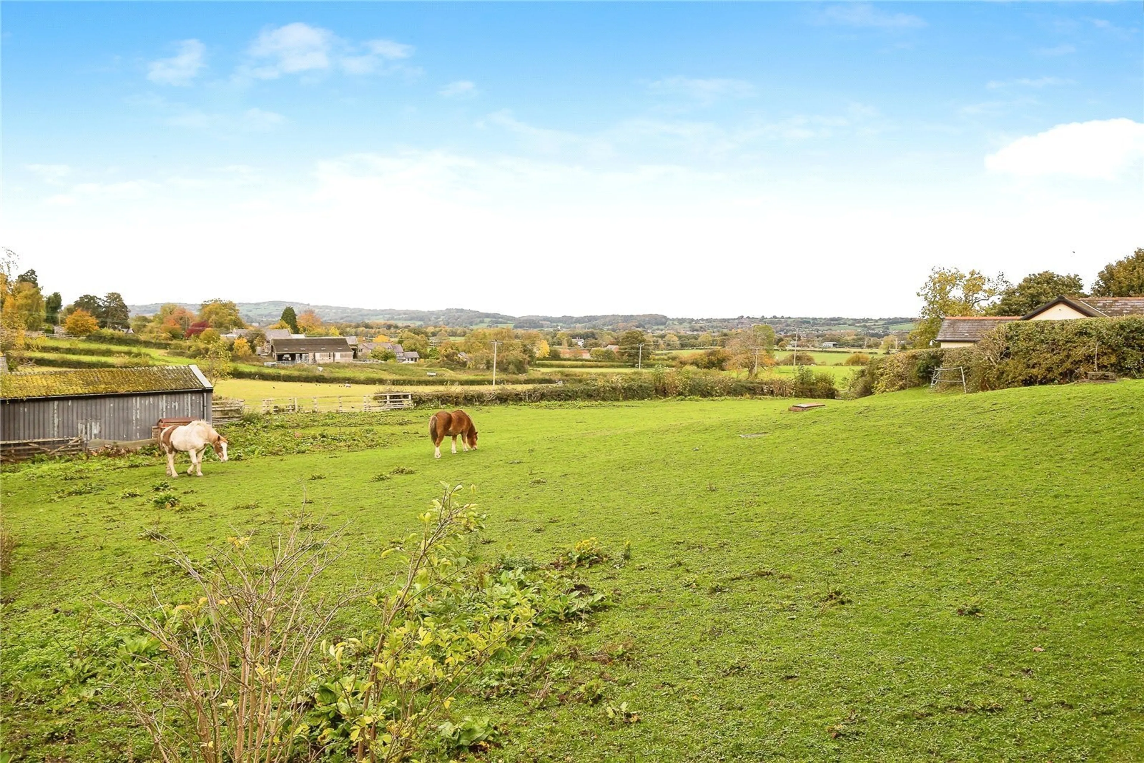 Property photo 19
