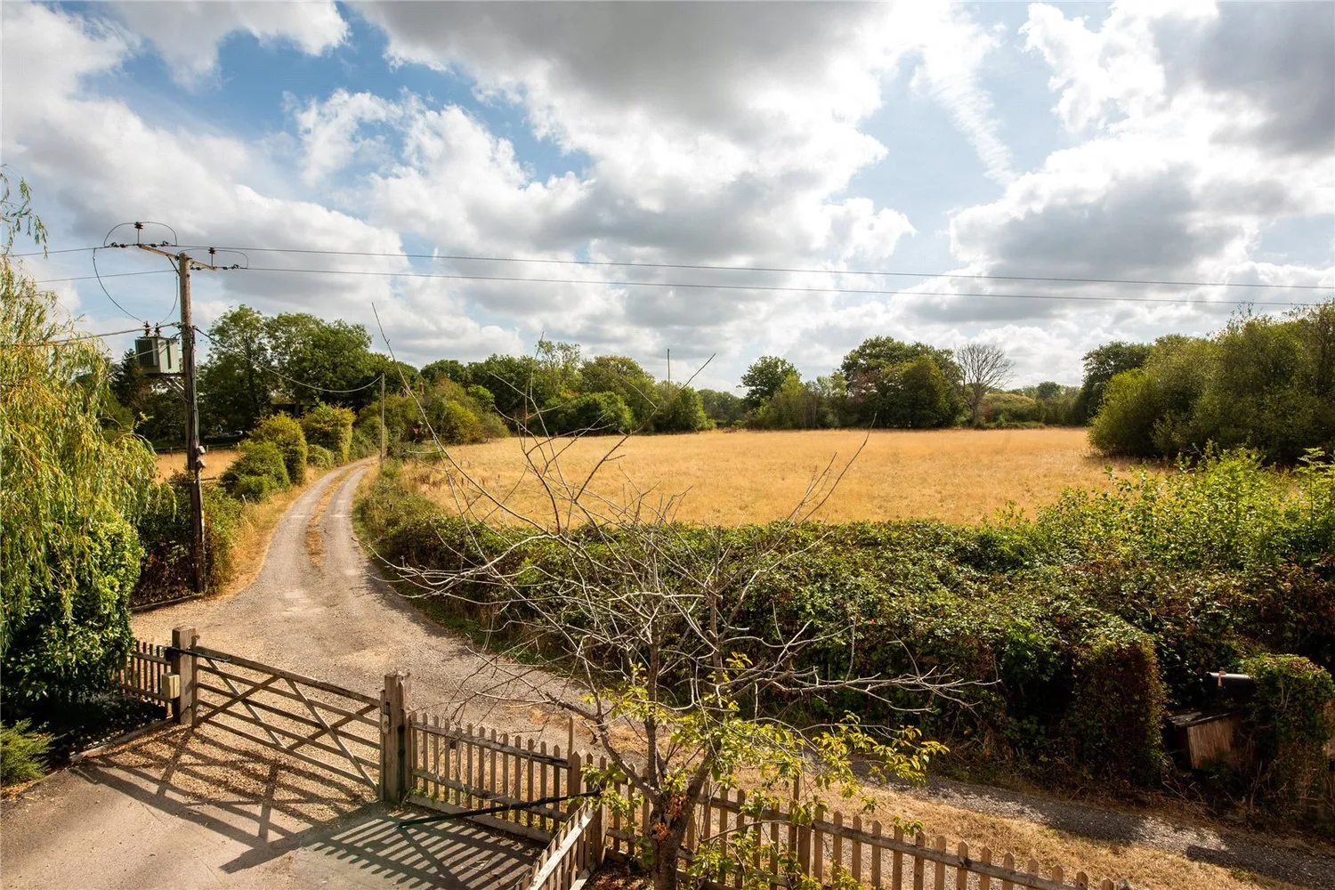 Partridge Lane, Newdigate, RH5 photo 8