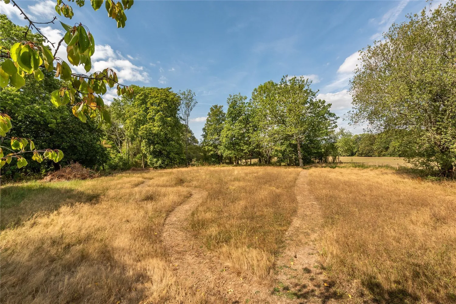Partridge Lane, Newdigate, RH5 photo 18