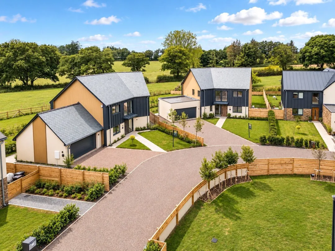 https://mr0.homeflow-assets.co.uk/files/photo/image/48319/0111/_x_/NEW250248_40.jpg