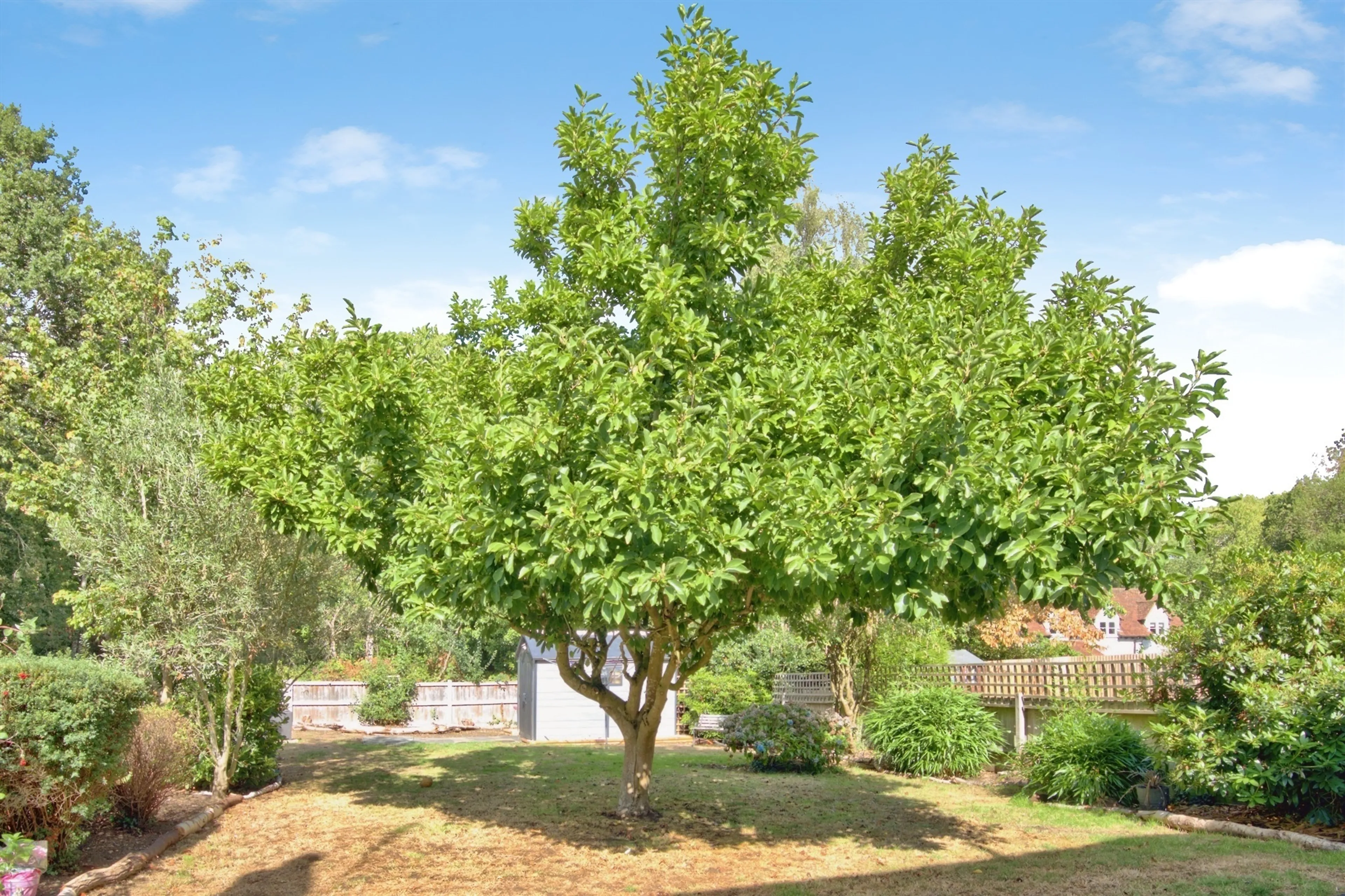 Property photo 16
