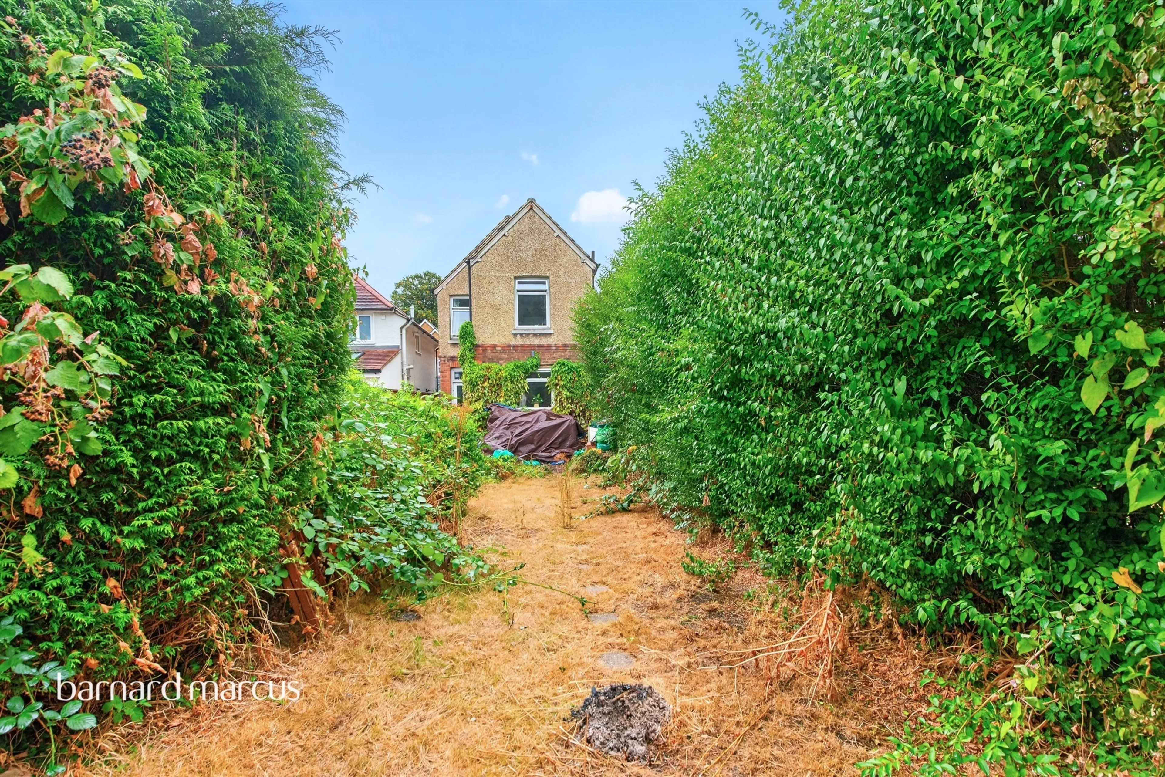 Property photo 13