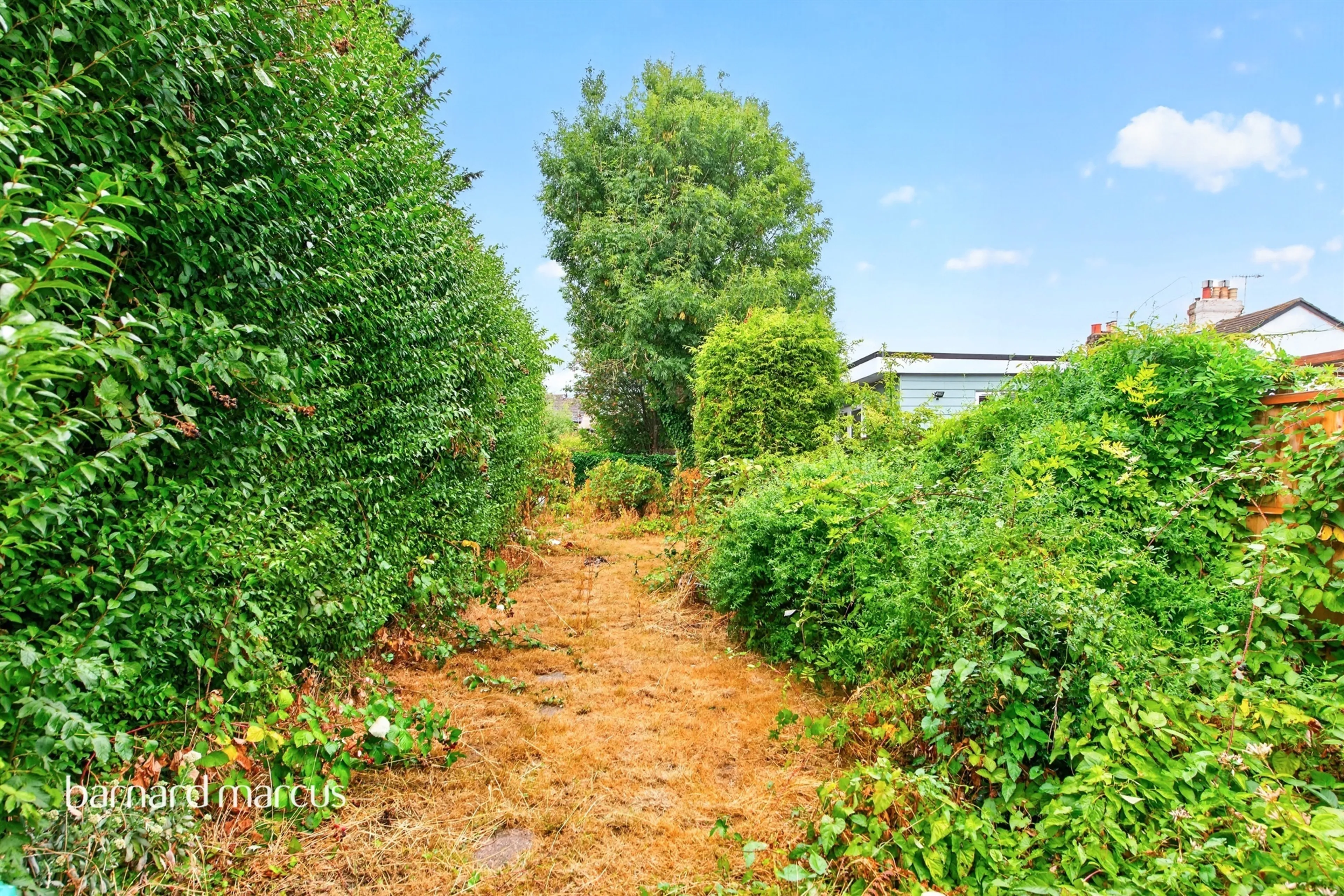 Property photo 14