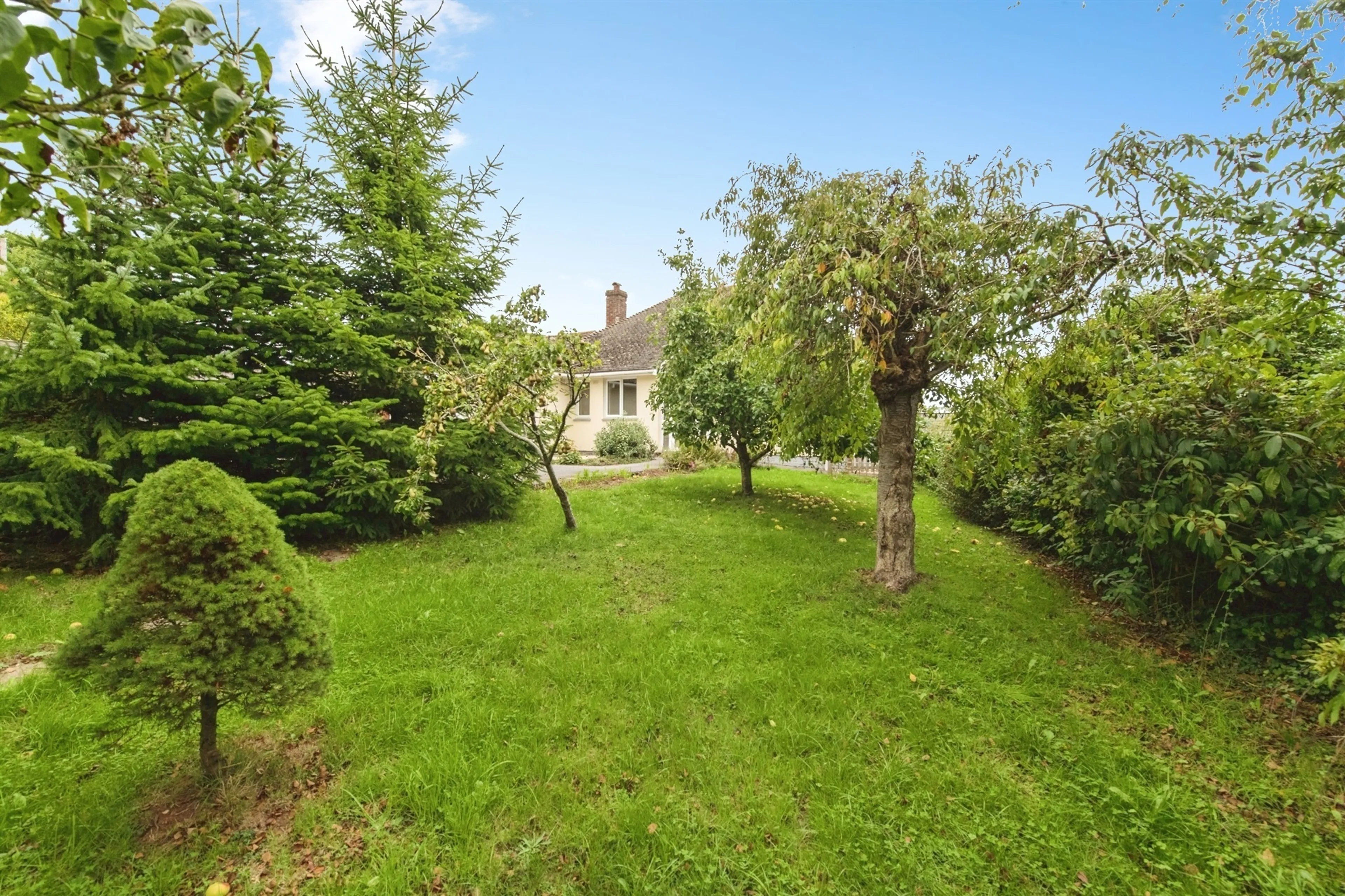 Property photo 12