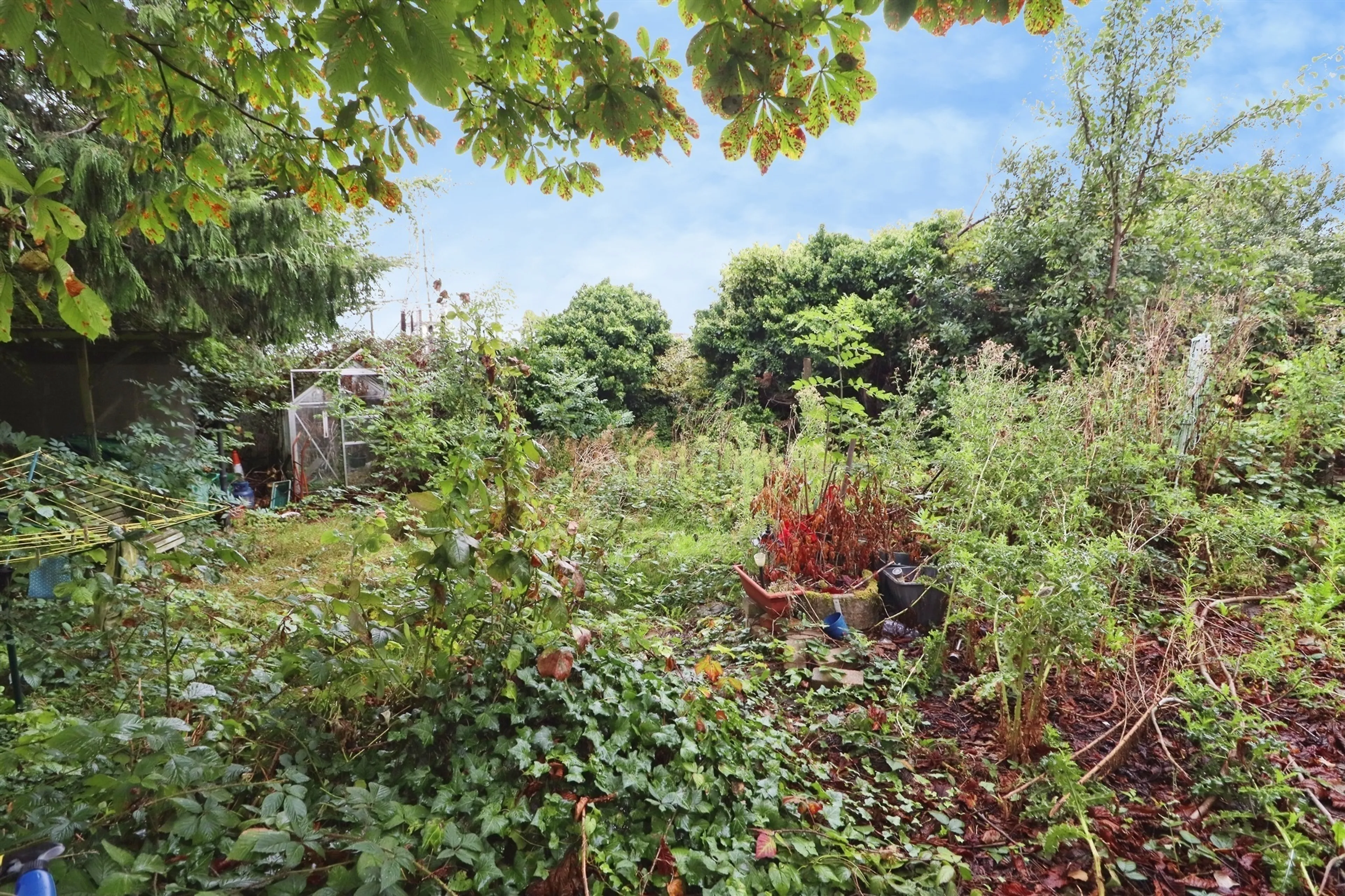 Property photo 18
