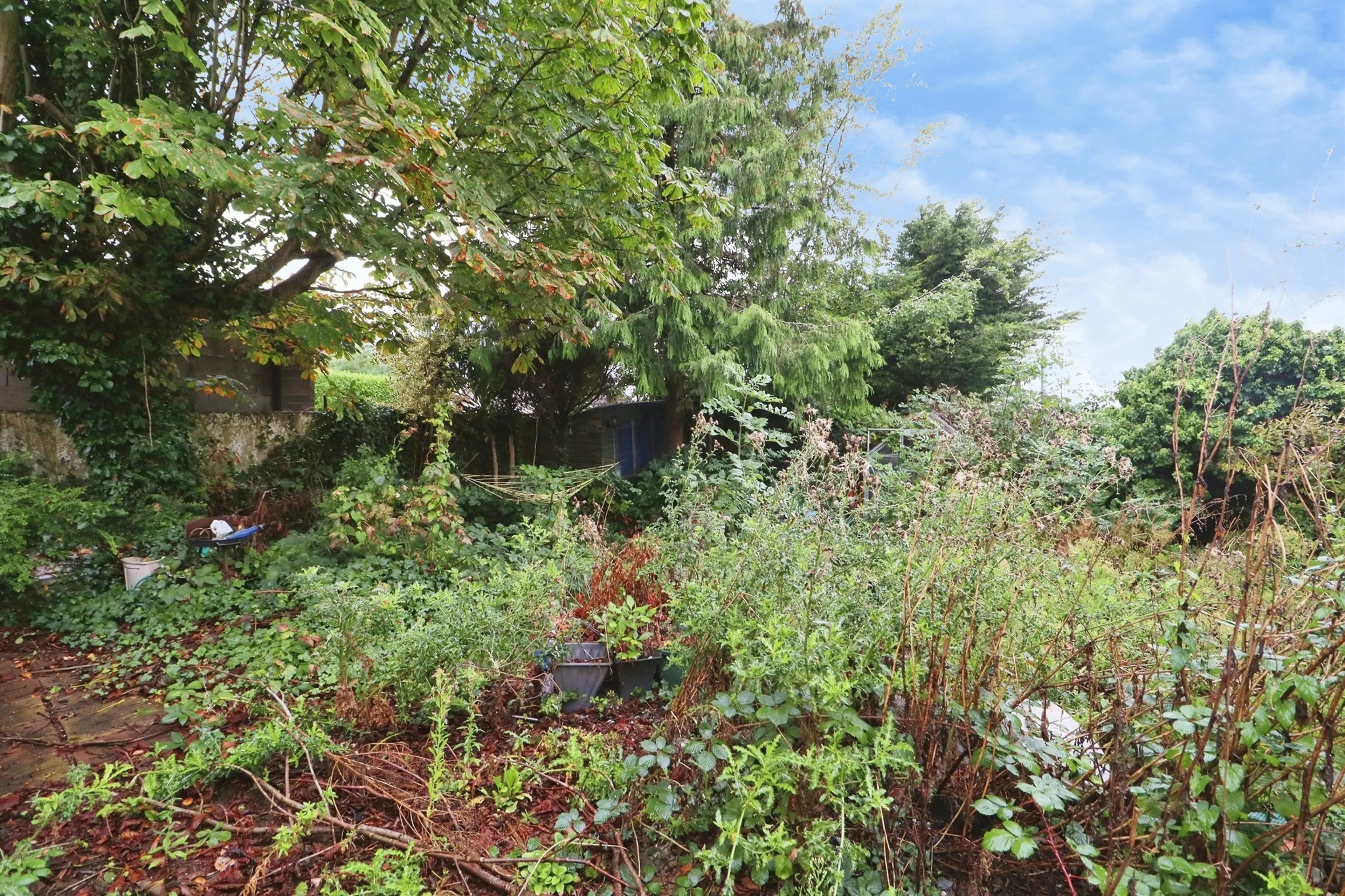 Property photo 20