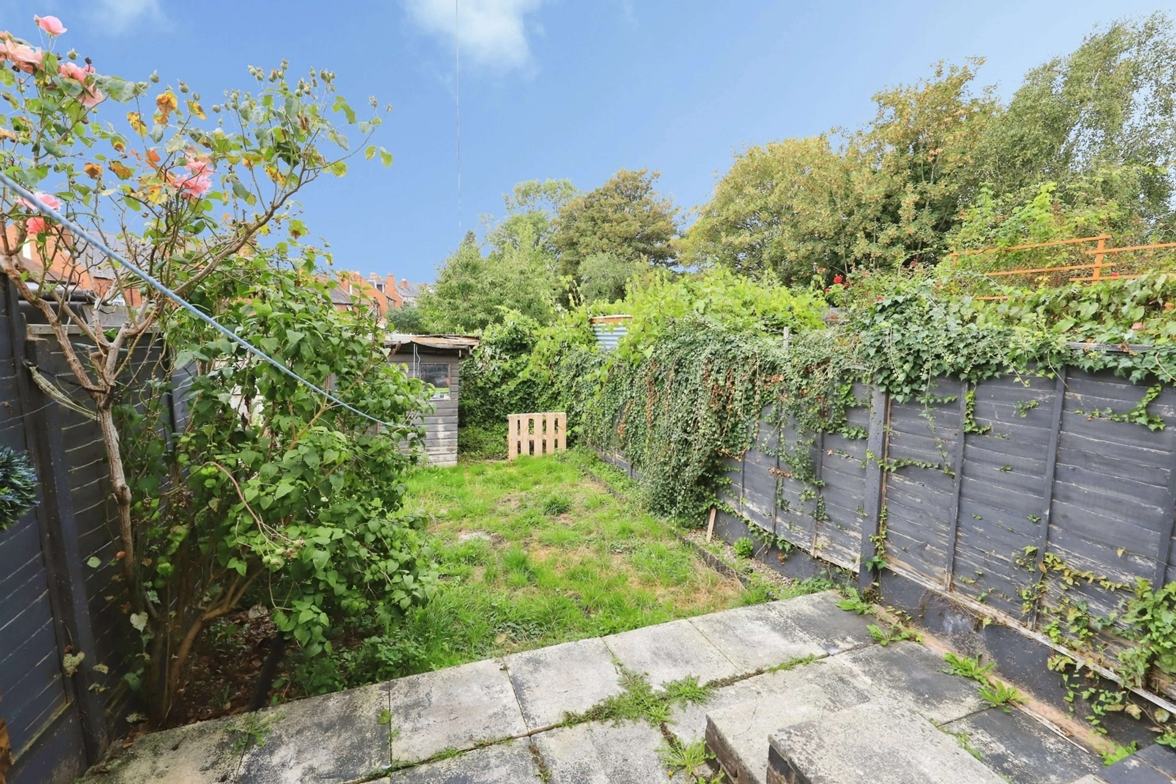 Property photo 19