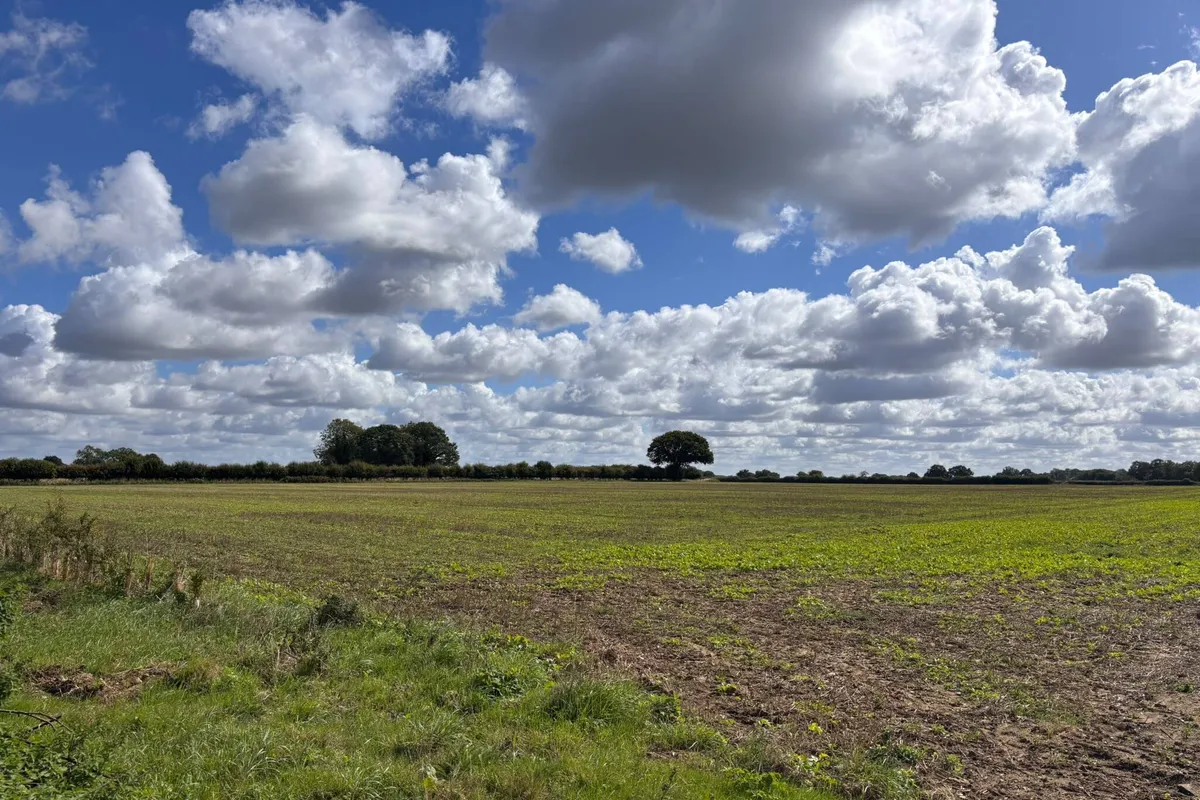 Watton Road, Stow Bedon, Attleborough