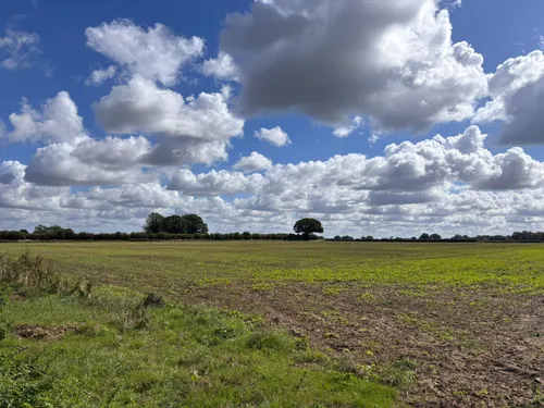 Watton Road, Stow Bedon, Attleboroughphoto