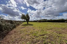 Watton Road, Stow Bedon, Attleborough