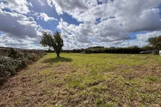 Watton Road, Stow Bedon, Attleborough