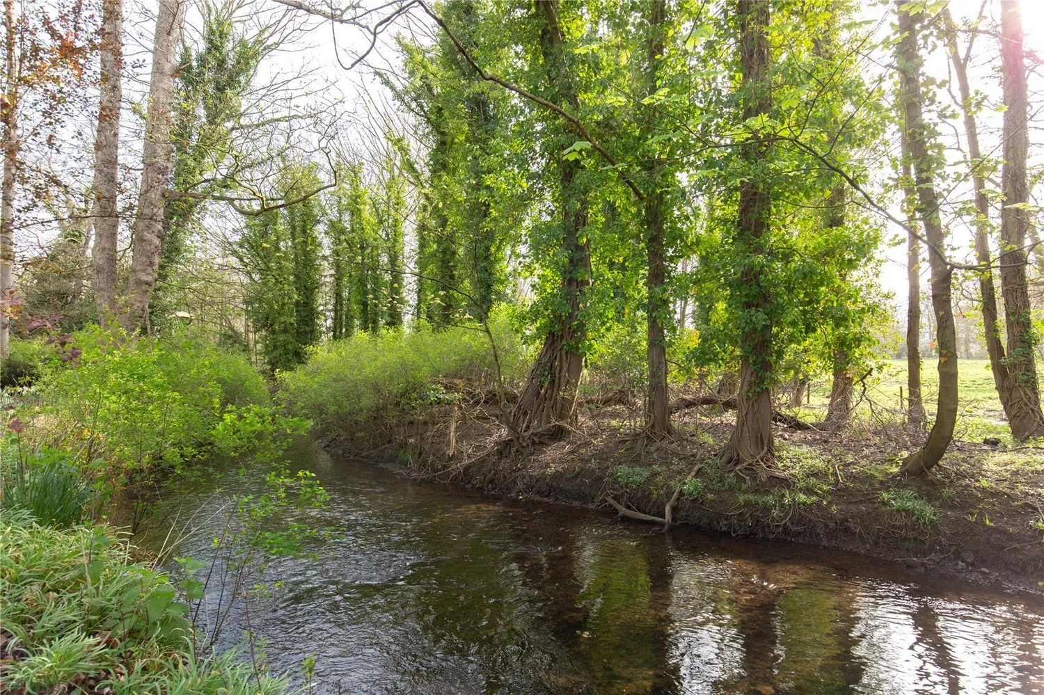Knight Street, Walsingham, NR22 photo 24