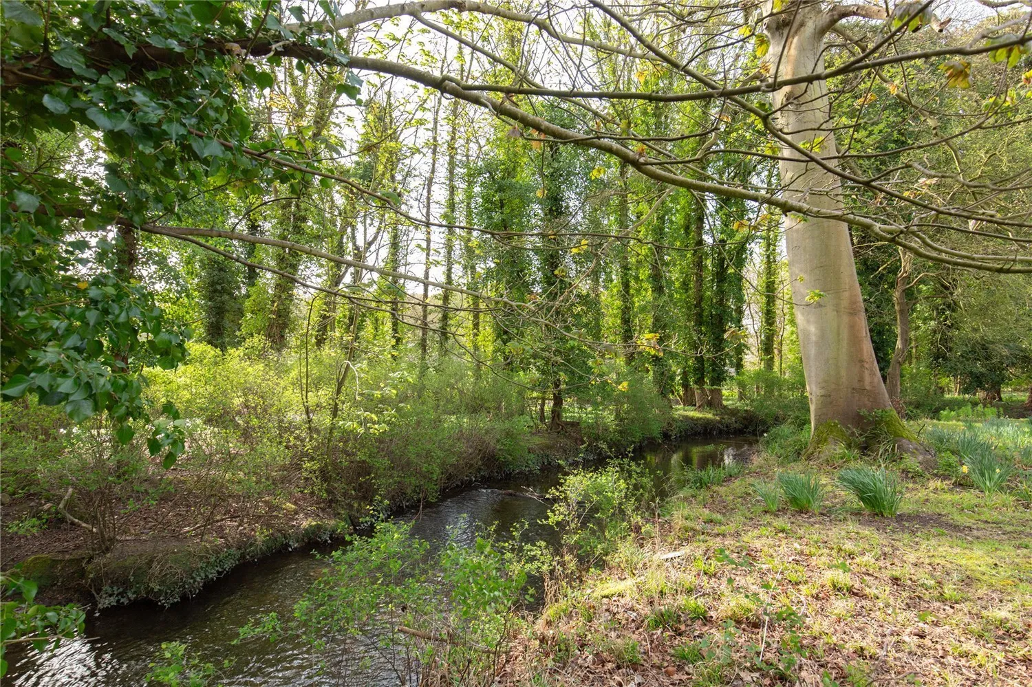 Knight Street, Walsingham, NR22 photo 25