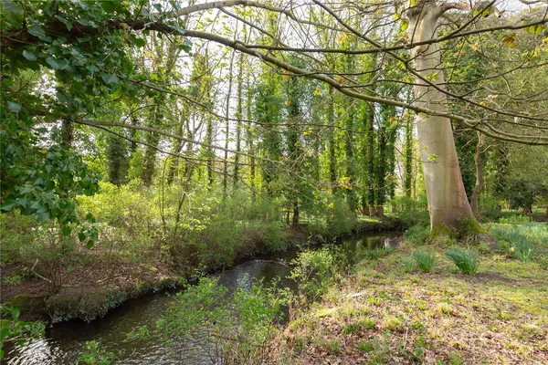 Knight Street, Walsingham, NR22 photo 25