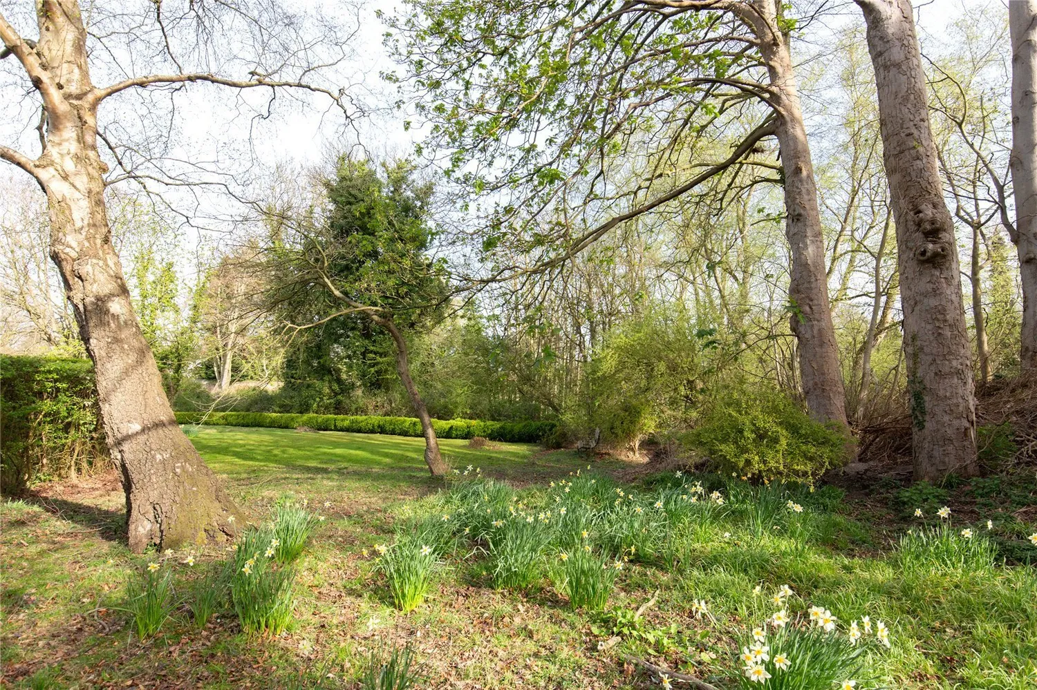Knight Street, Walsingham, NR22 photo 29