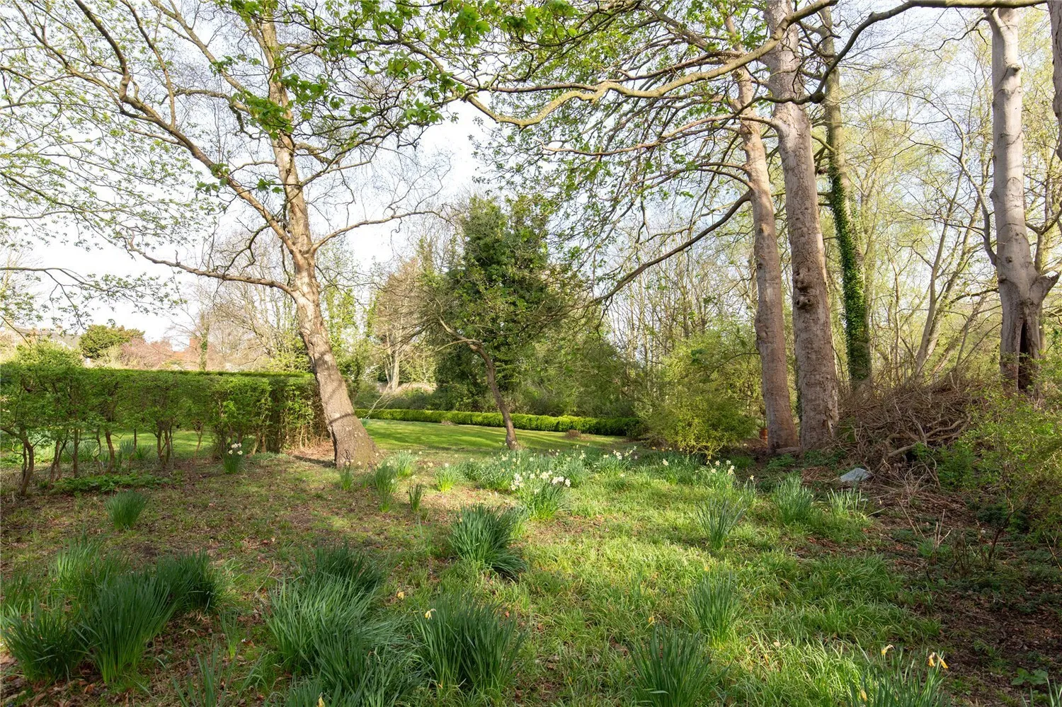 Knight Street, Walsingham, NR22 photo 31