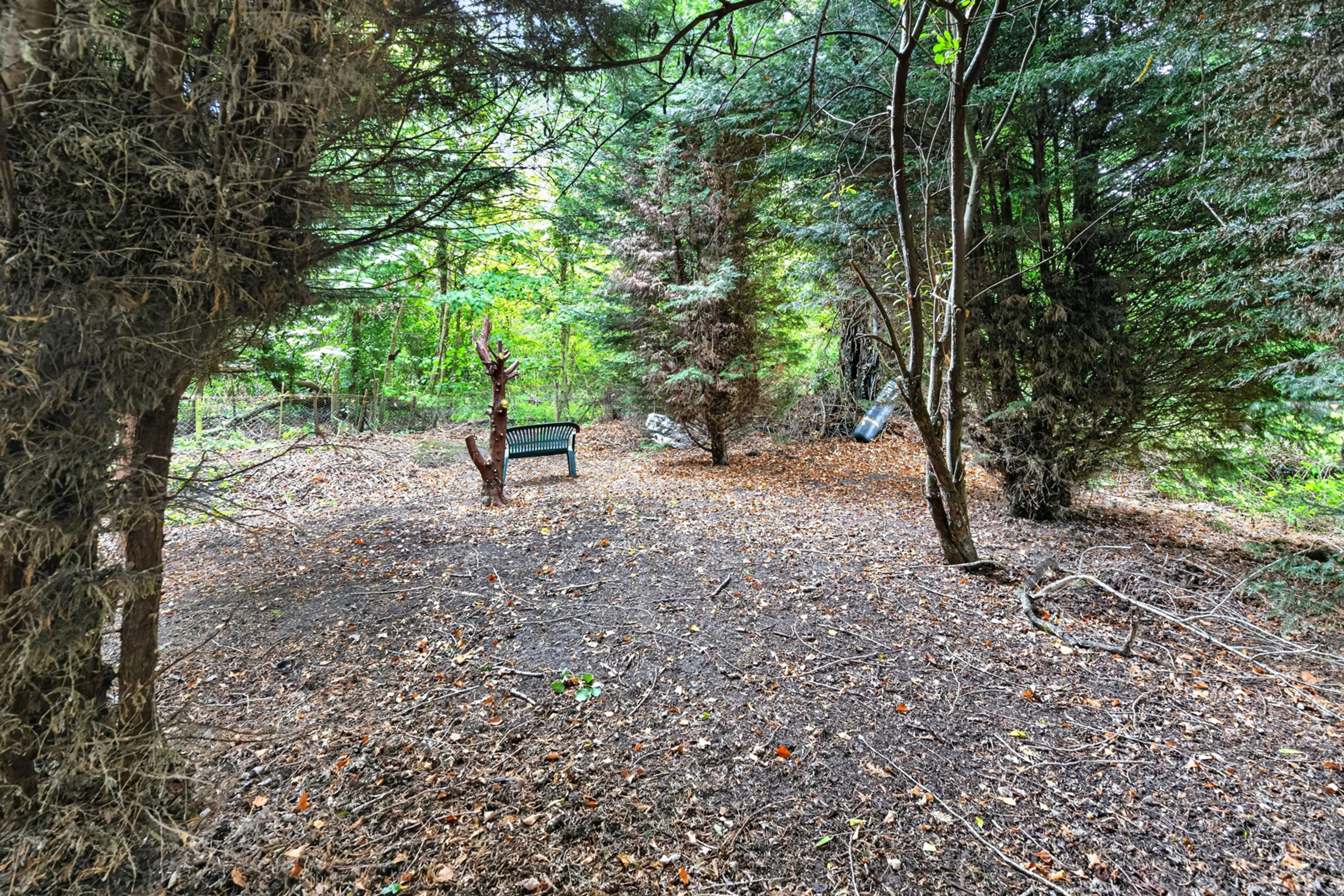 Property photo 20