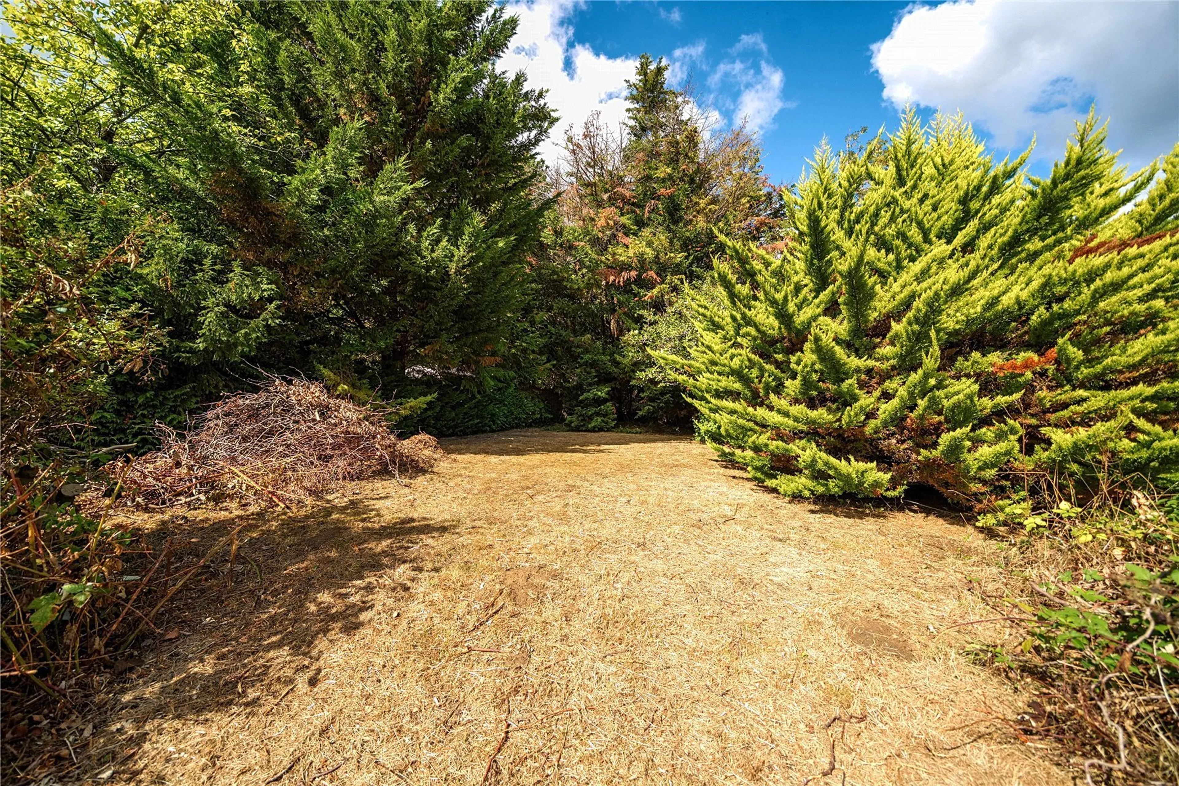 Property photo 23