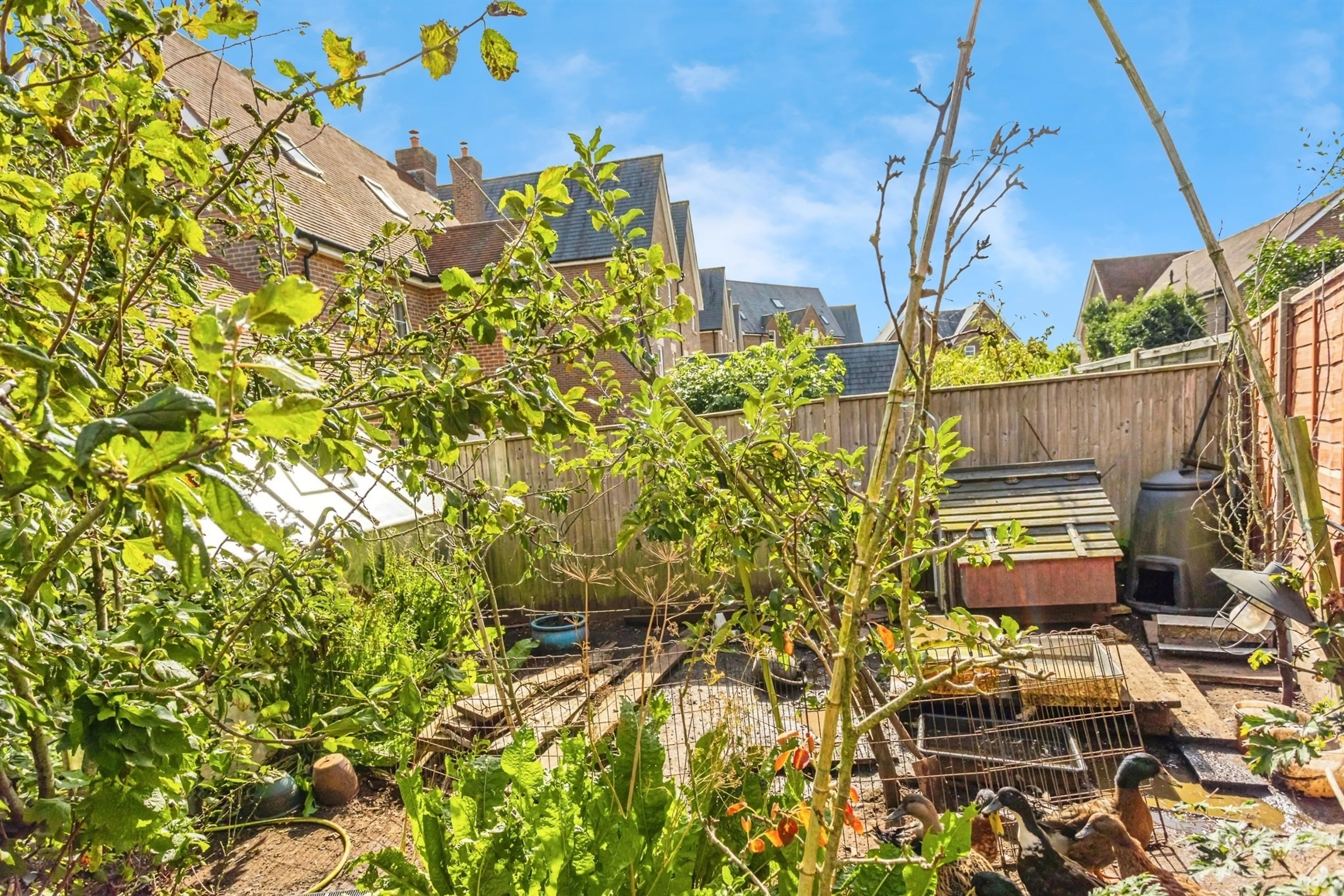 Property photo 15