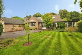 Property responsive