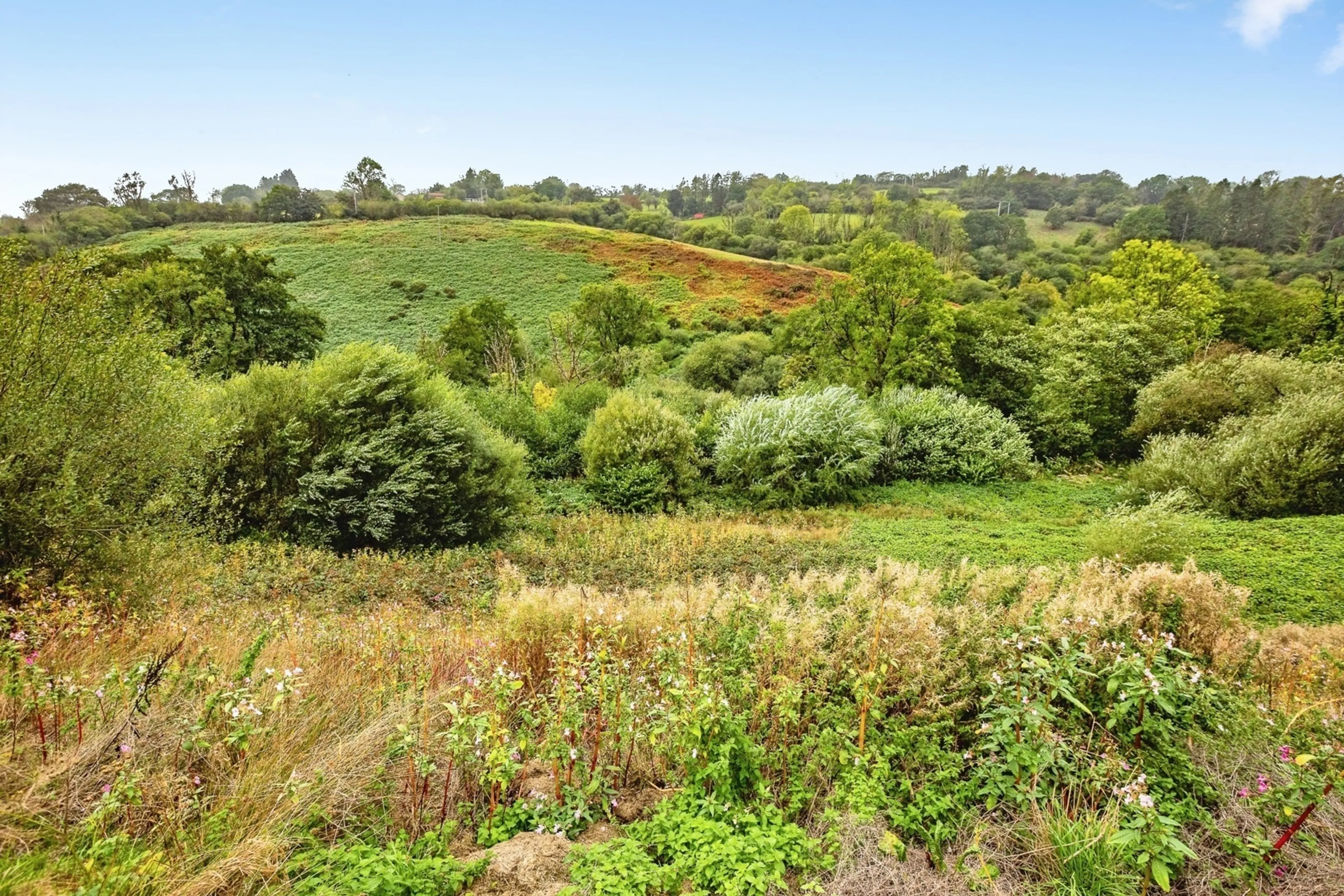 Property photo 34
