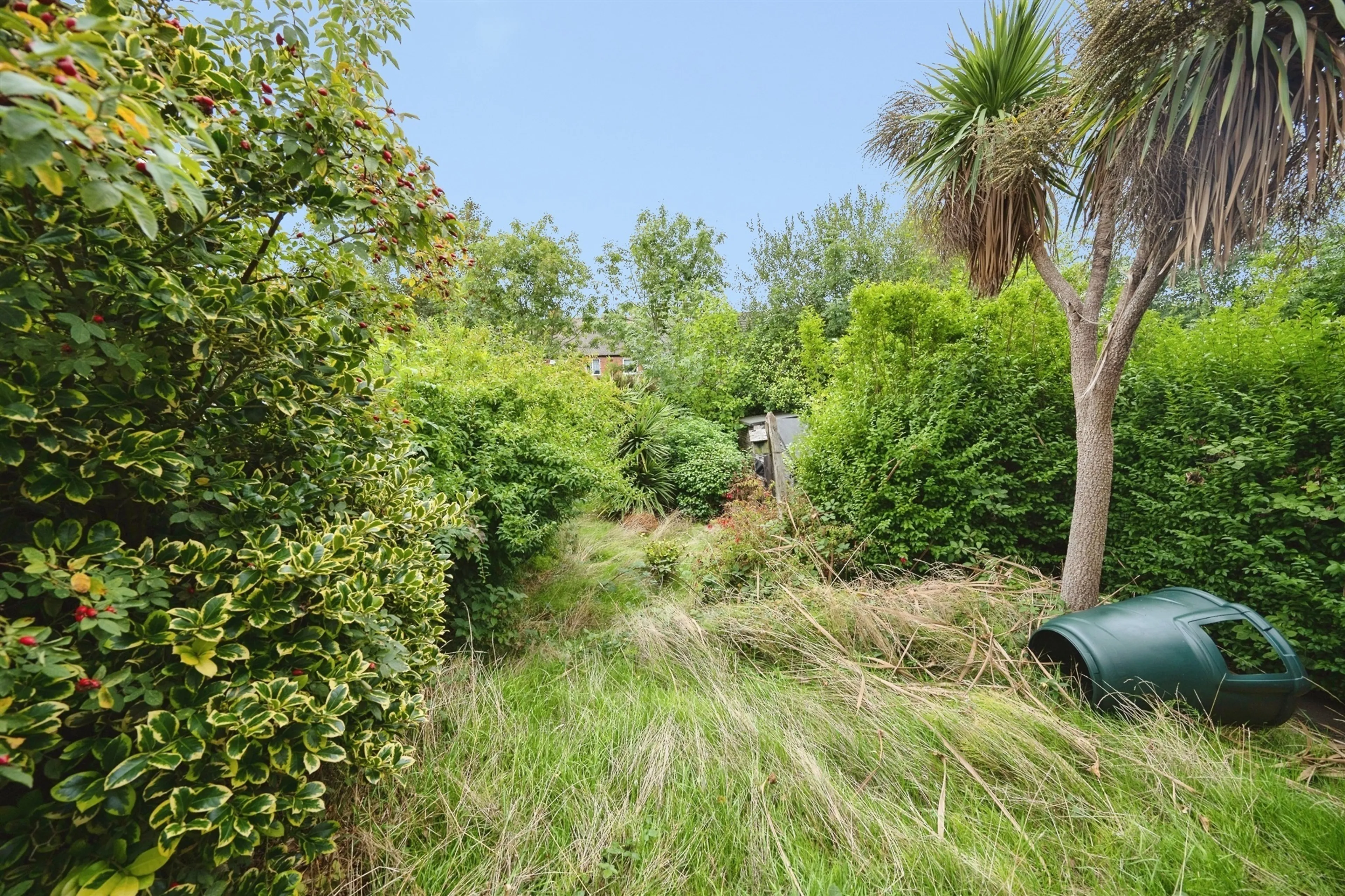 Property photo 15