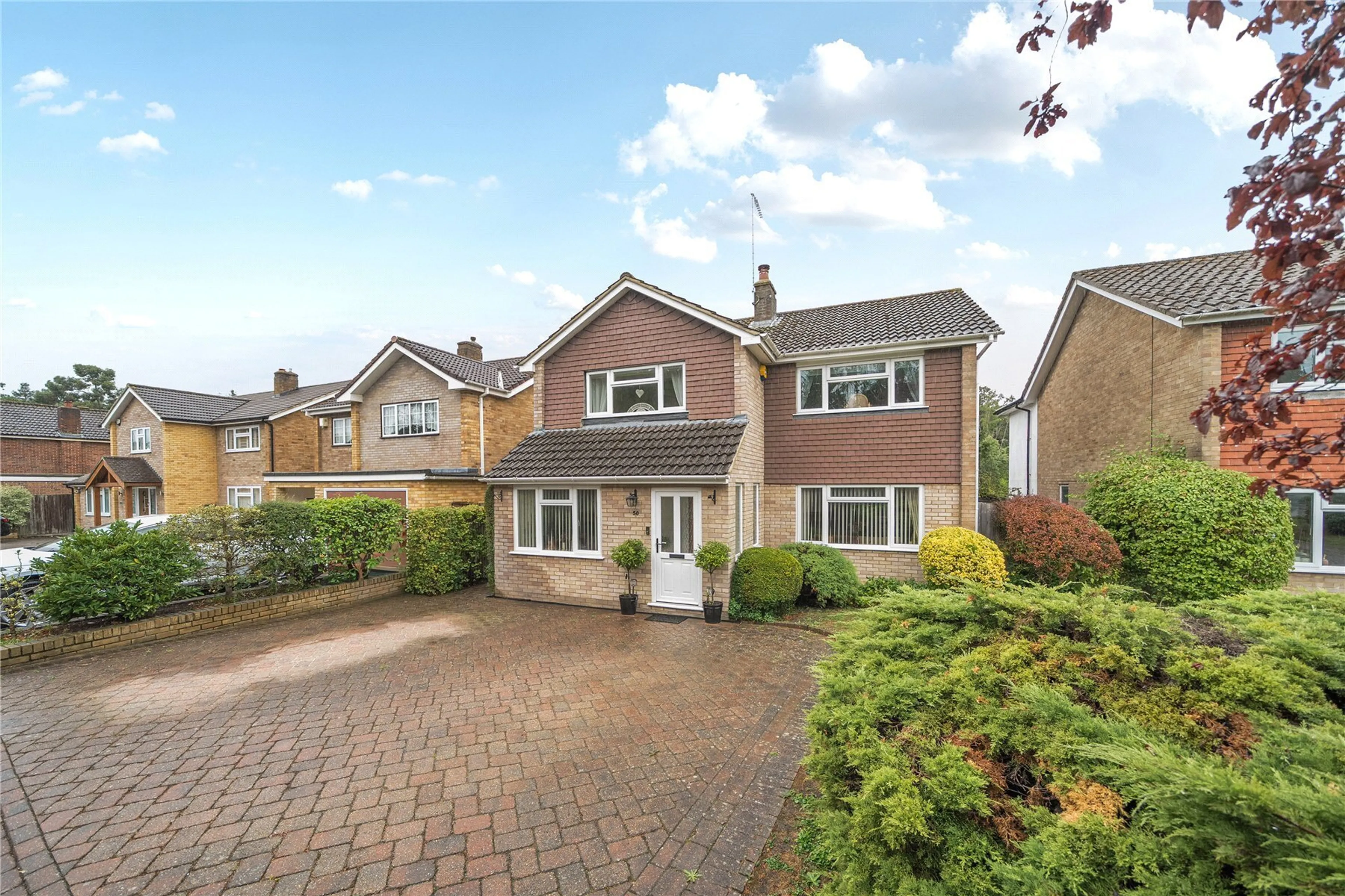 Property photo 19