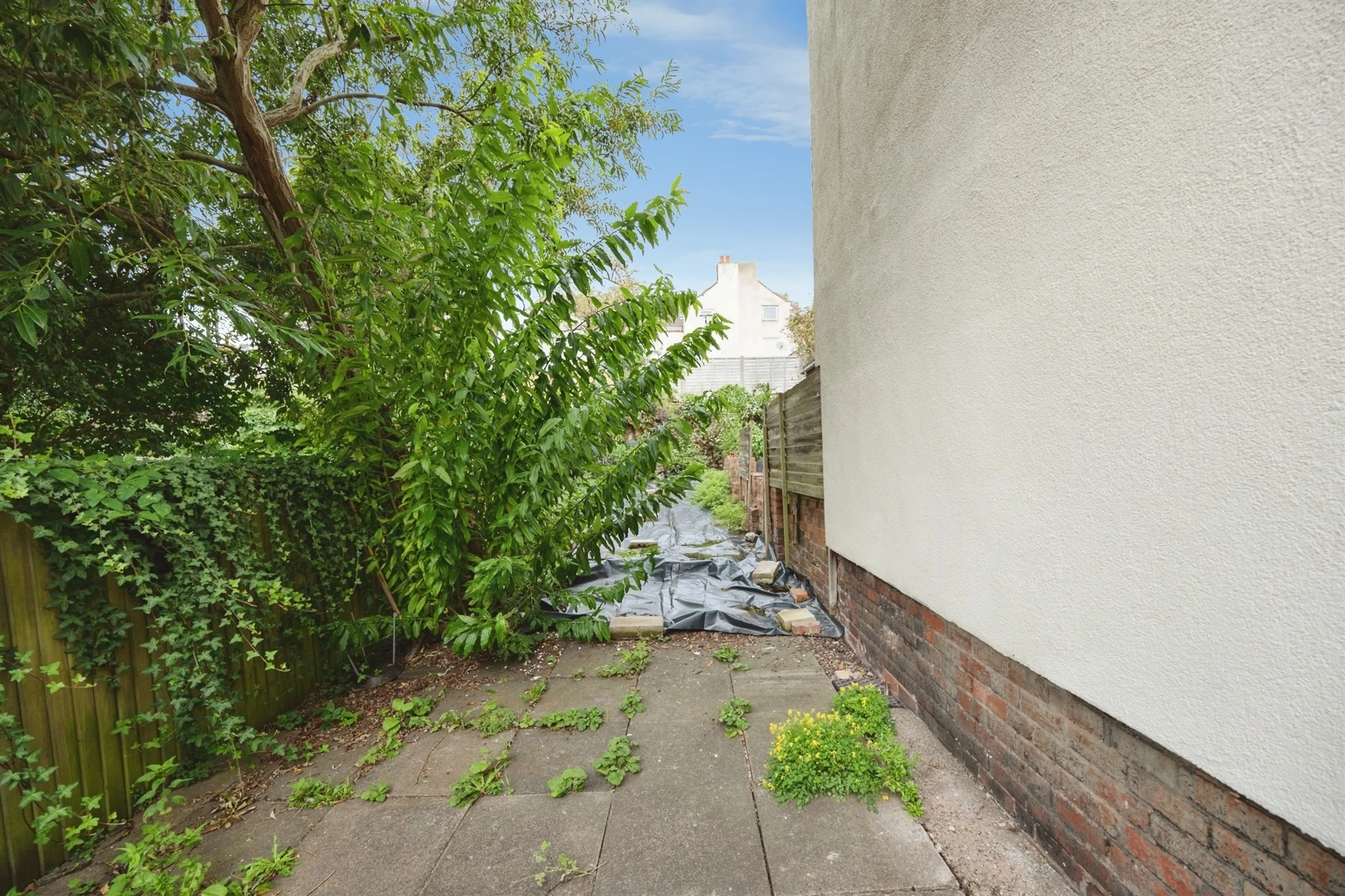 Property photo 23