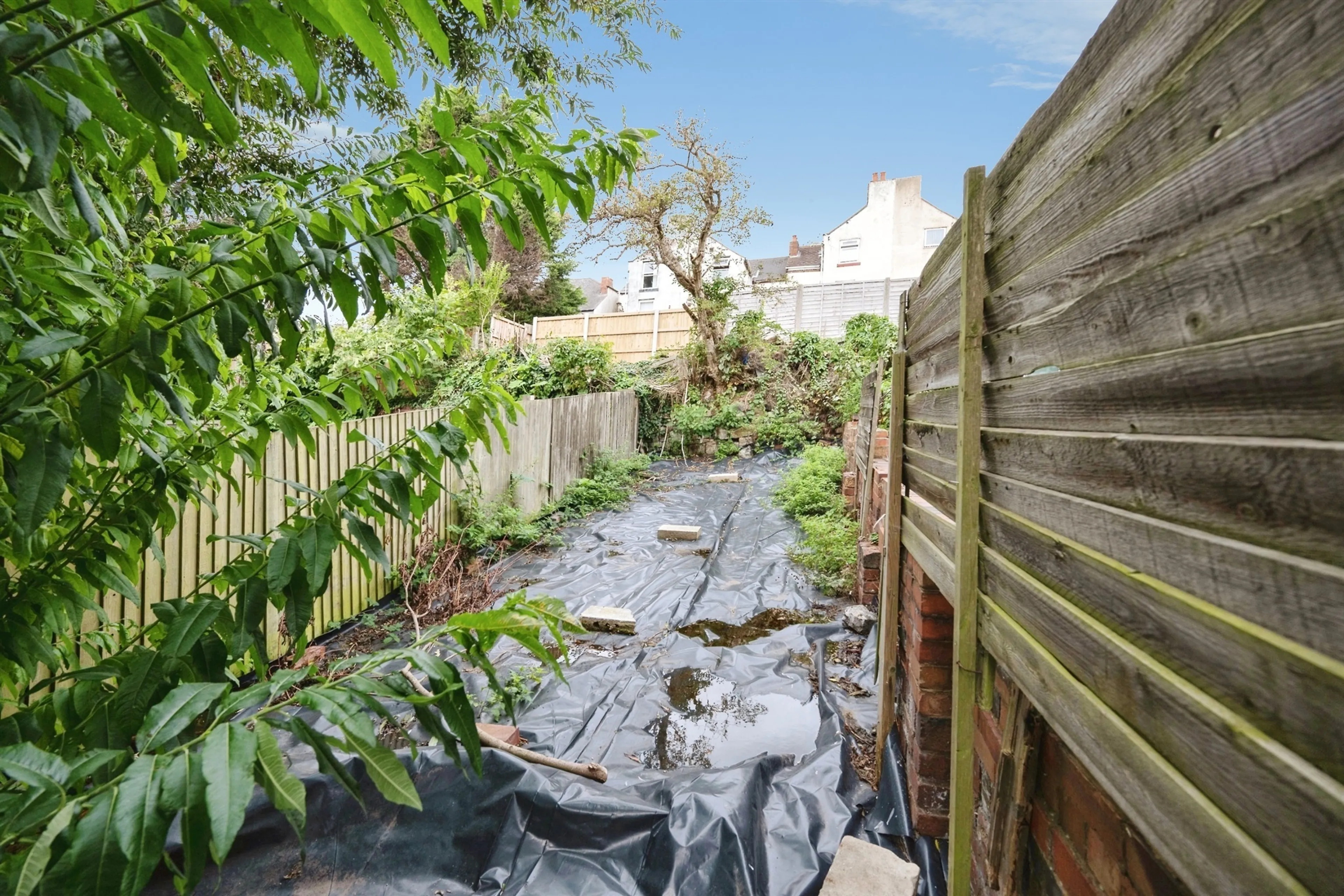 Property photo 24