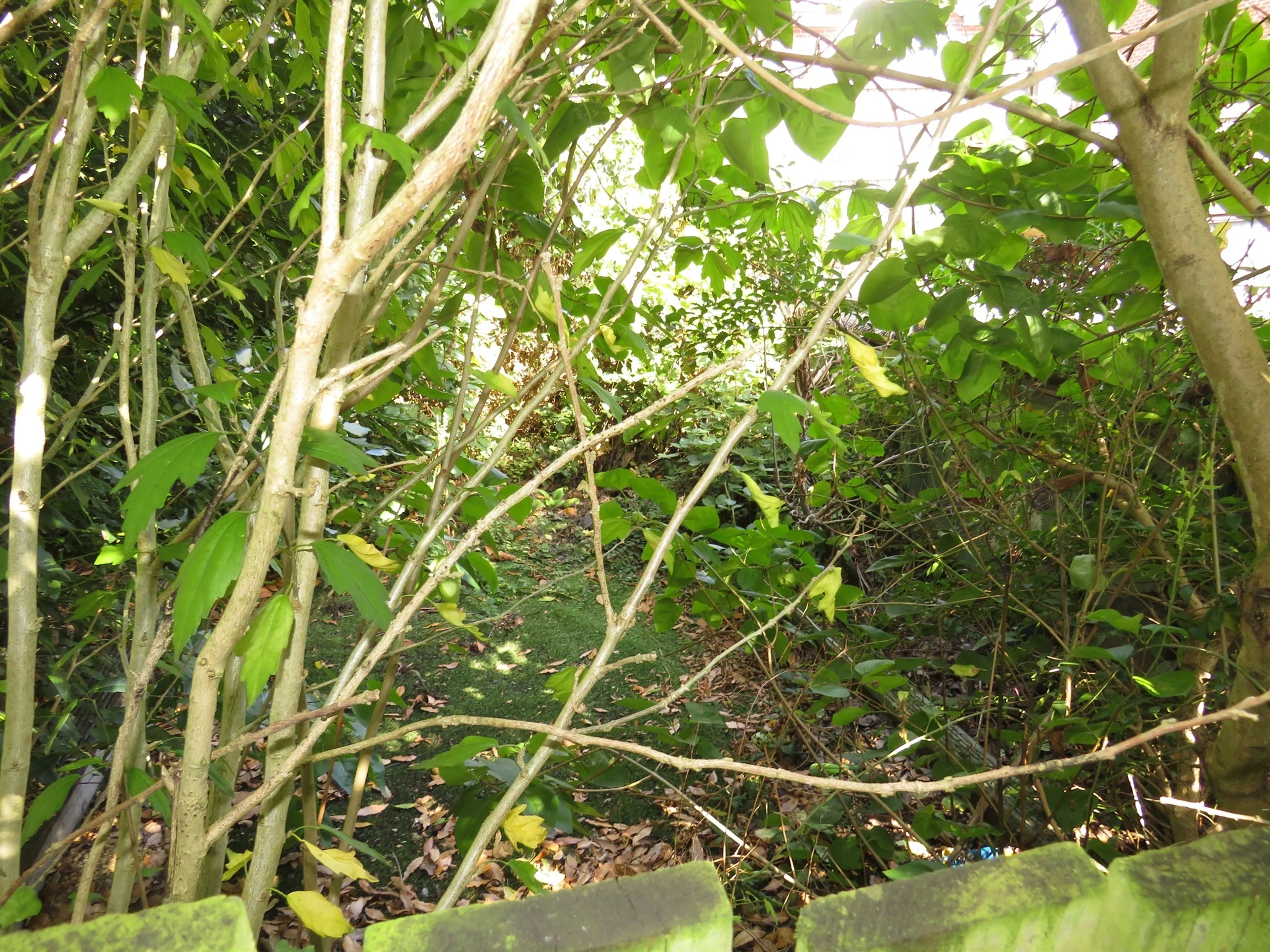 Property photo 15