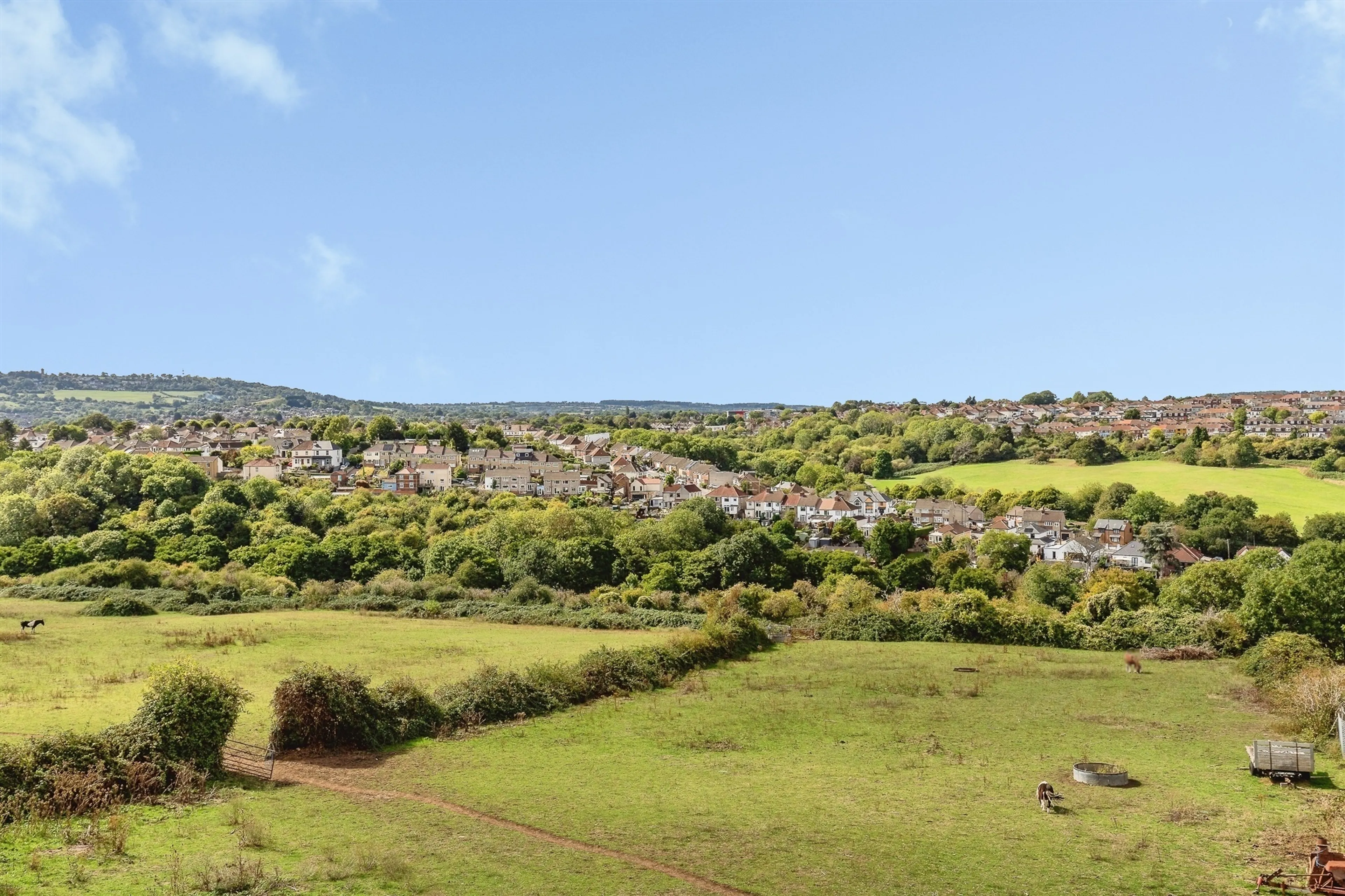 Property photo 22
