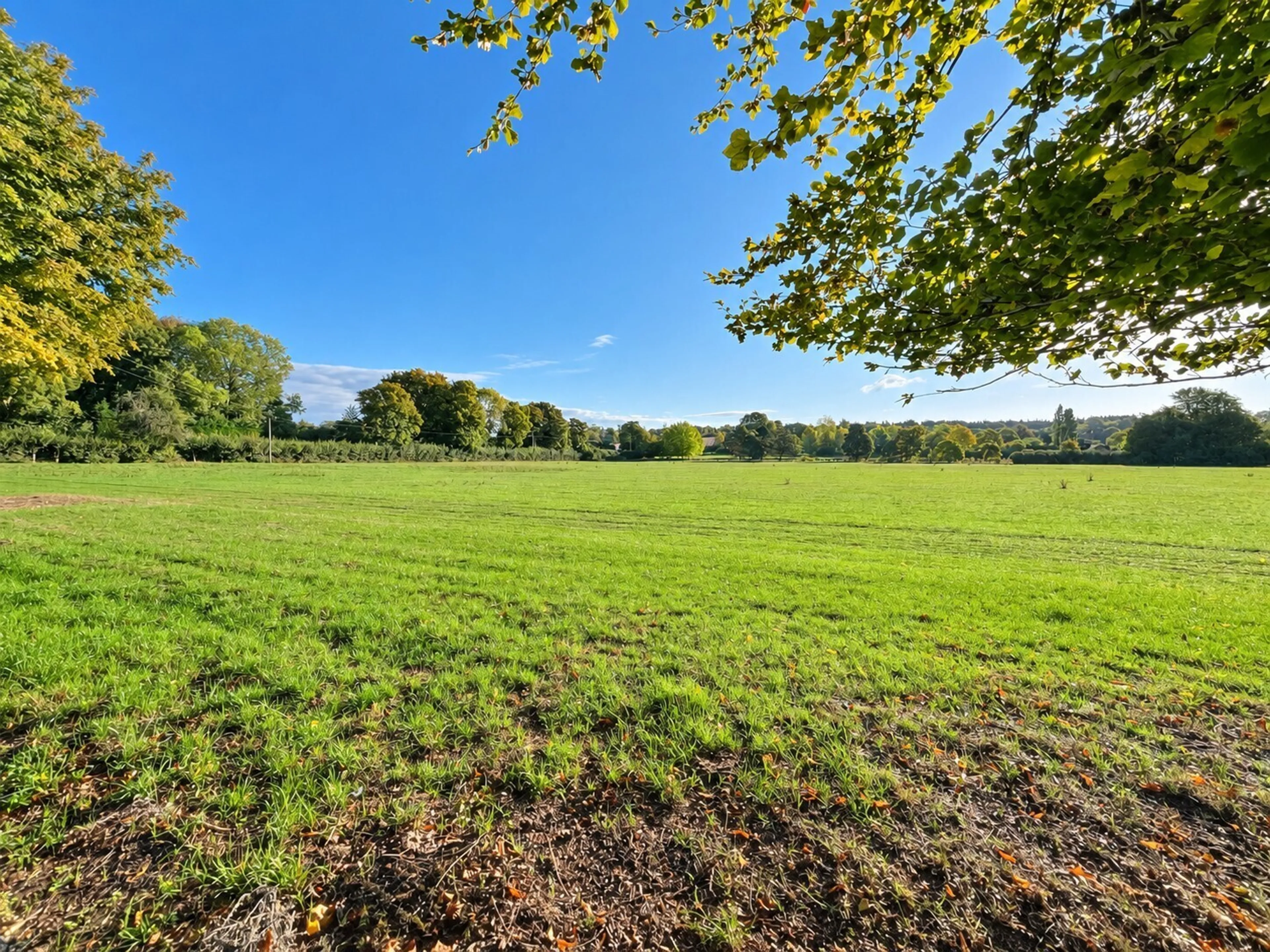 Property at Mongewell Court, Mongewell, Wallingford