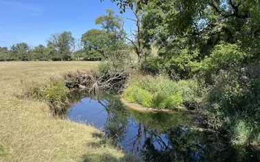 Abbots Bickington, Milton Damerel