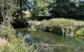 Property image gallery