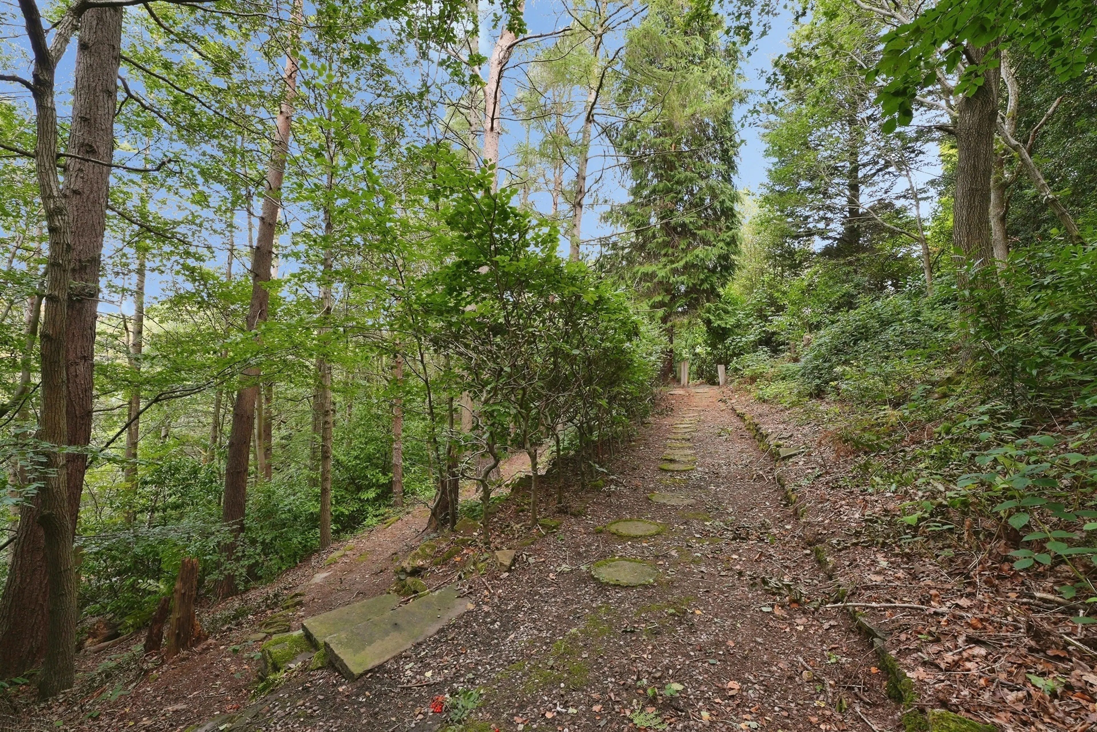 Property photo 25